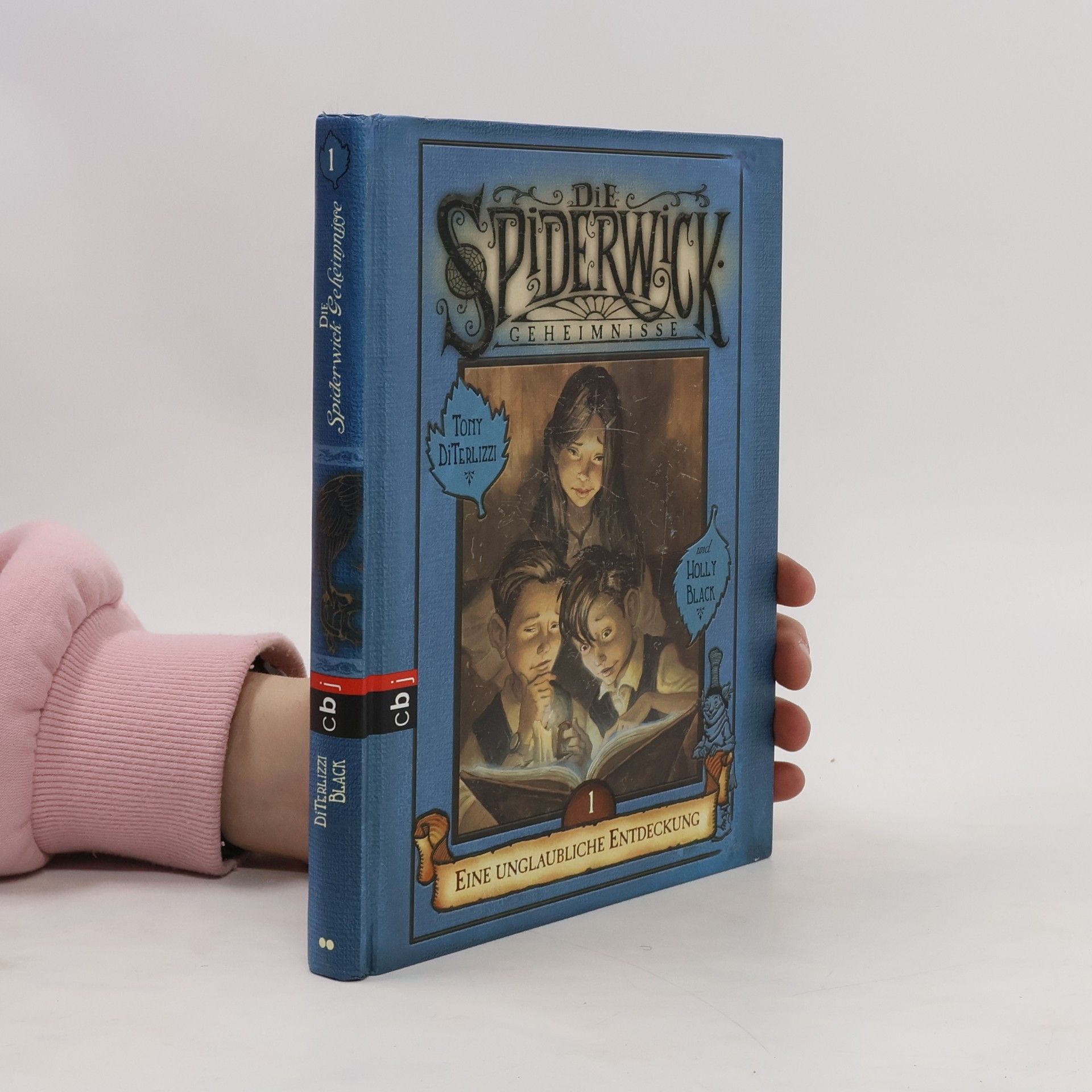 Holly Black Die Spiderwick-Geheimnisse 1