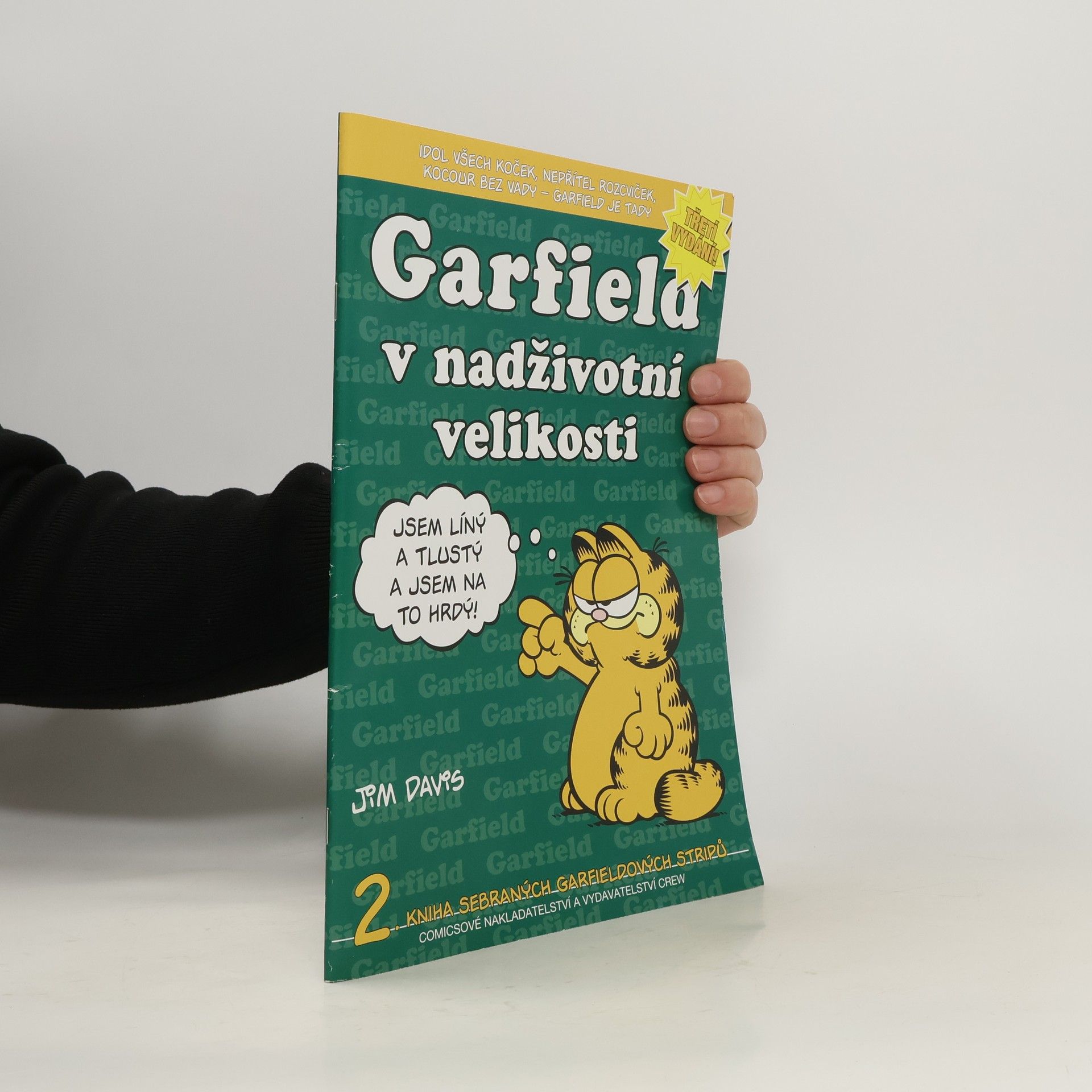 Jim Davis Garfield v nadživotní velikosti