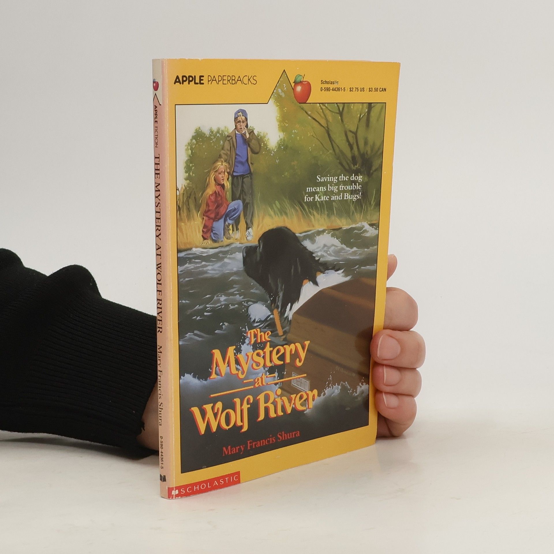 Mary Francis Shura The Mystery at Wolf River