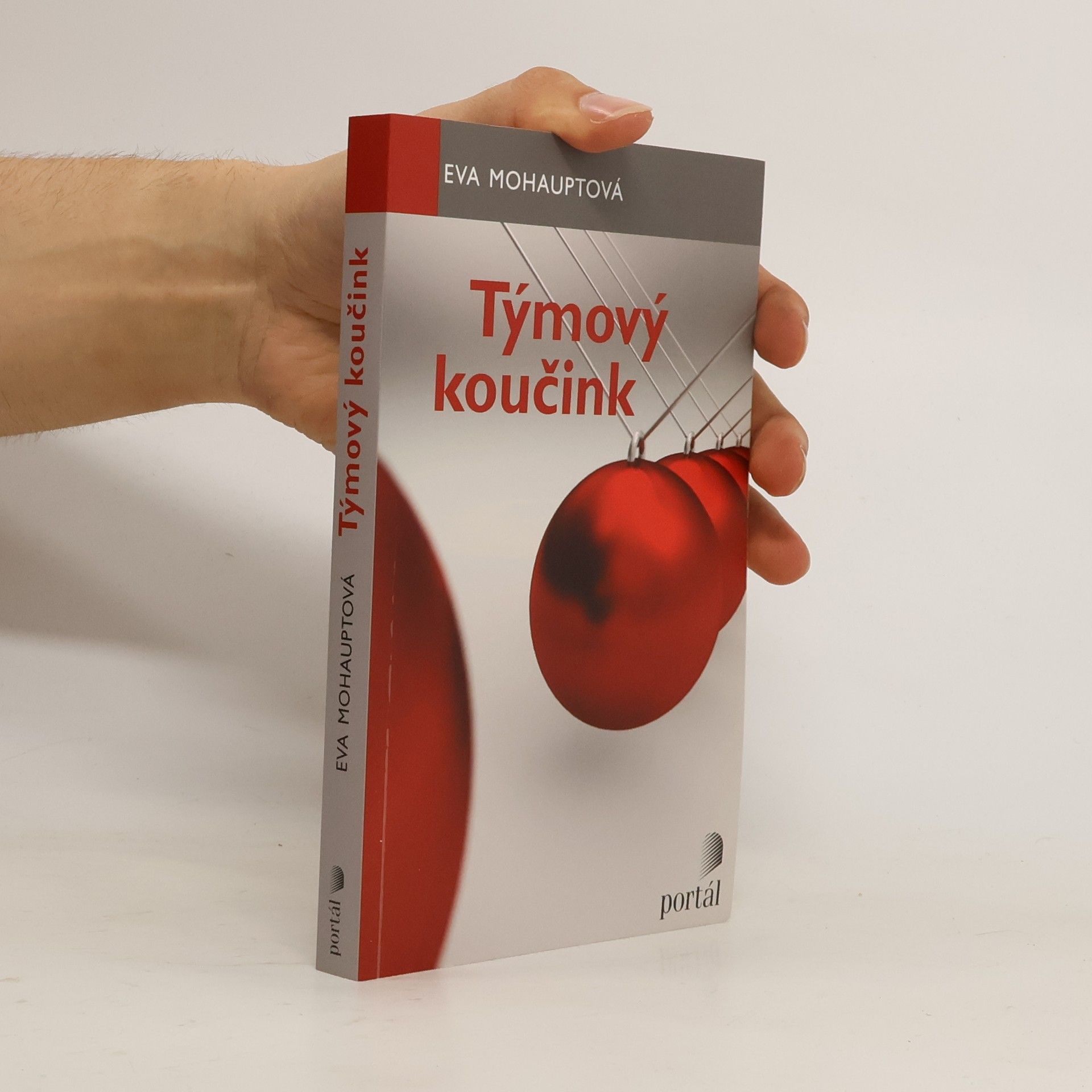 Eva Mohauptová Týmový koučink