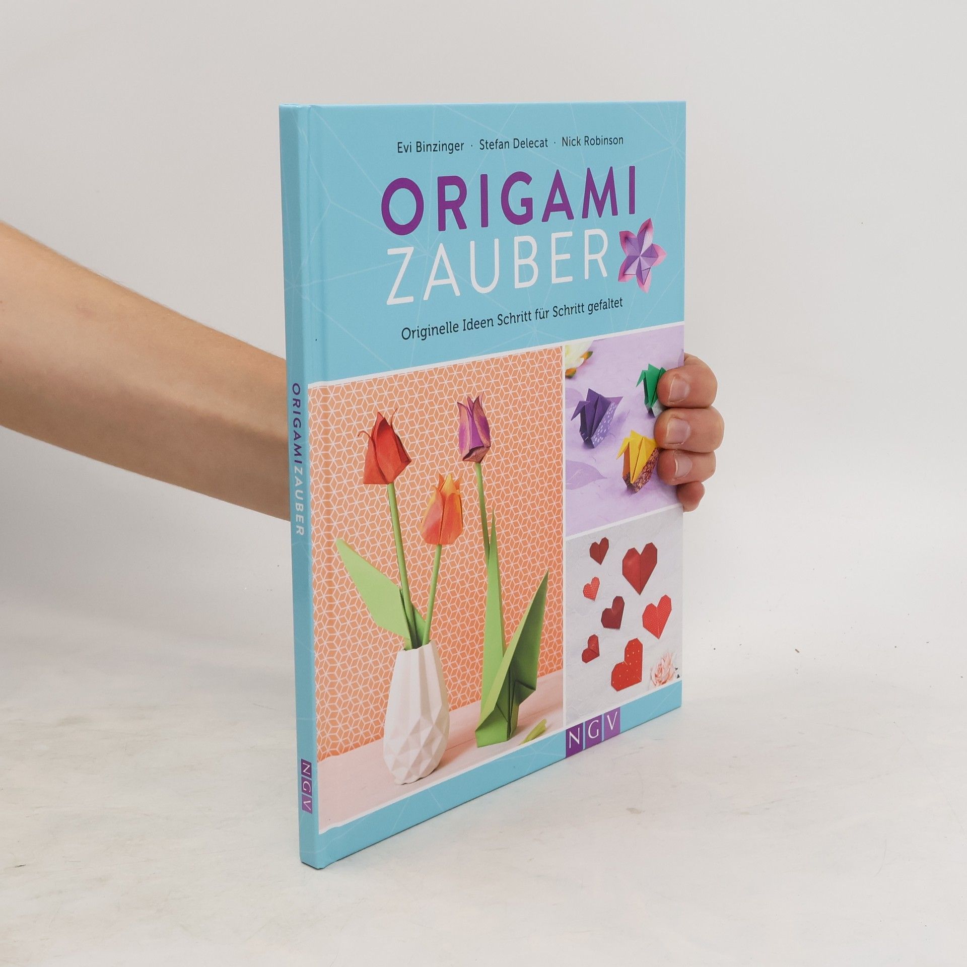 Evi Binzinger Origami Zauber
