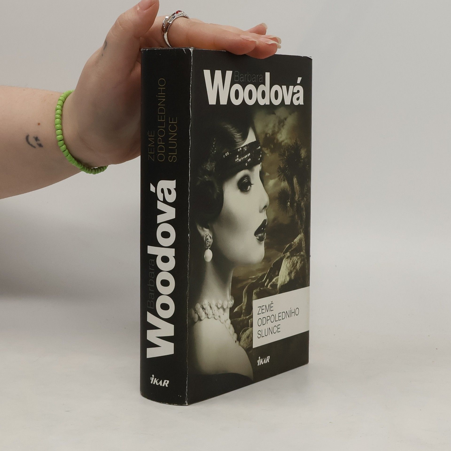 Barbara Wood Země odpoledního slunce
