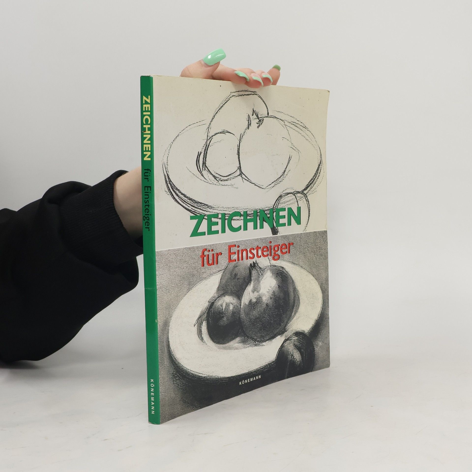 Francisco Asensio Cerver Zeichnen für Einsteiger