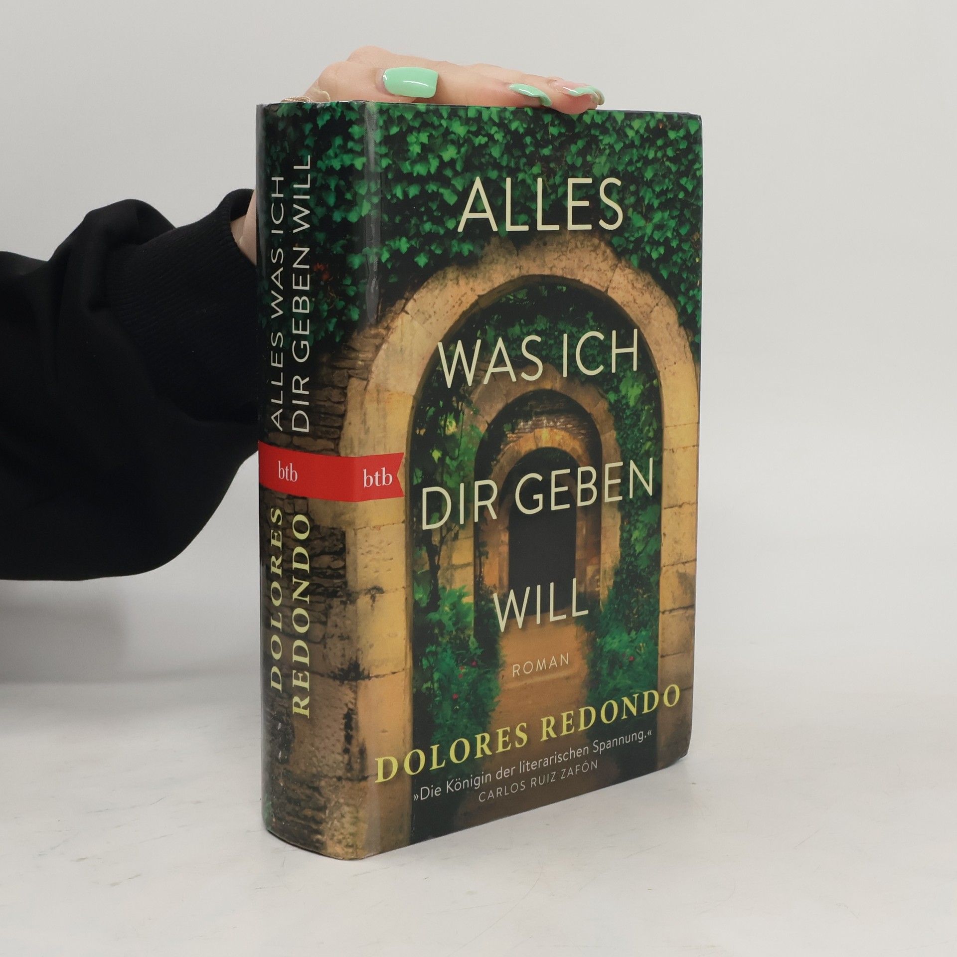 Dolores Redondo Alles was ich dir geben will