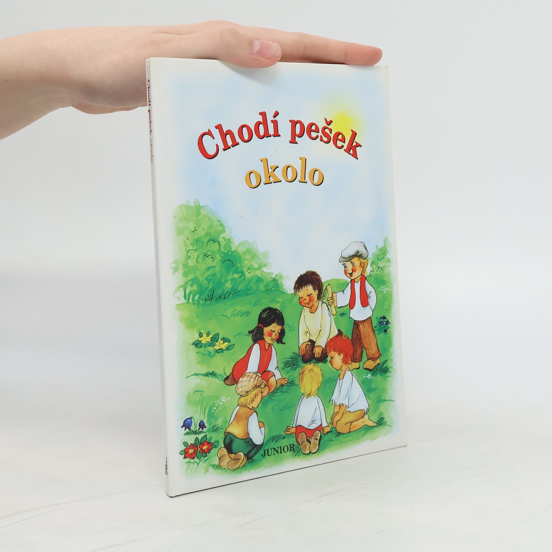 Vladimíra Vopičková Chodí pešek okolo (leporelo)