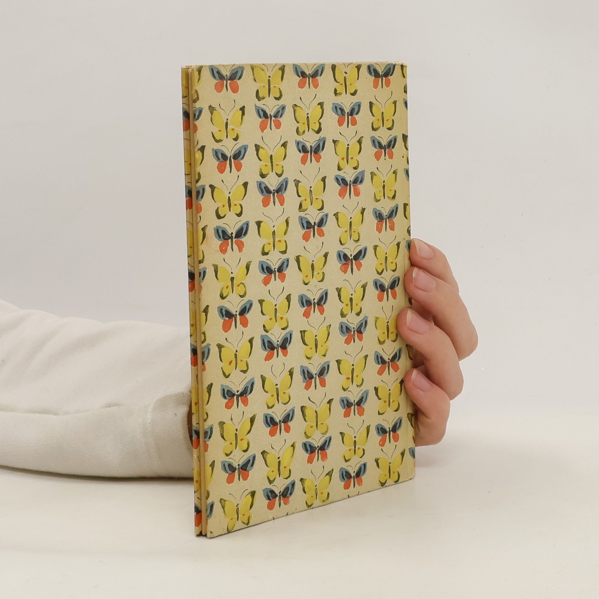 Jacob Hübner Das kleine Schmetterlingsbuch