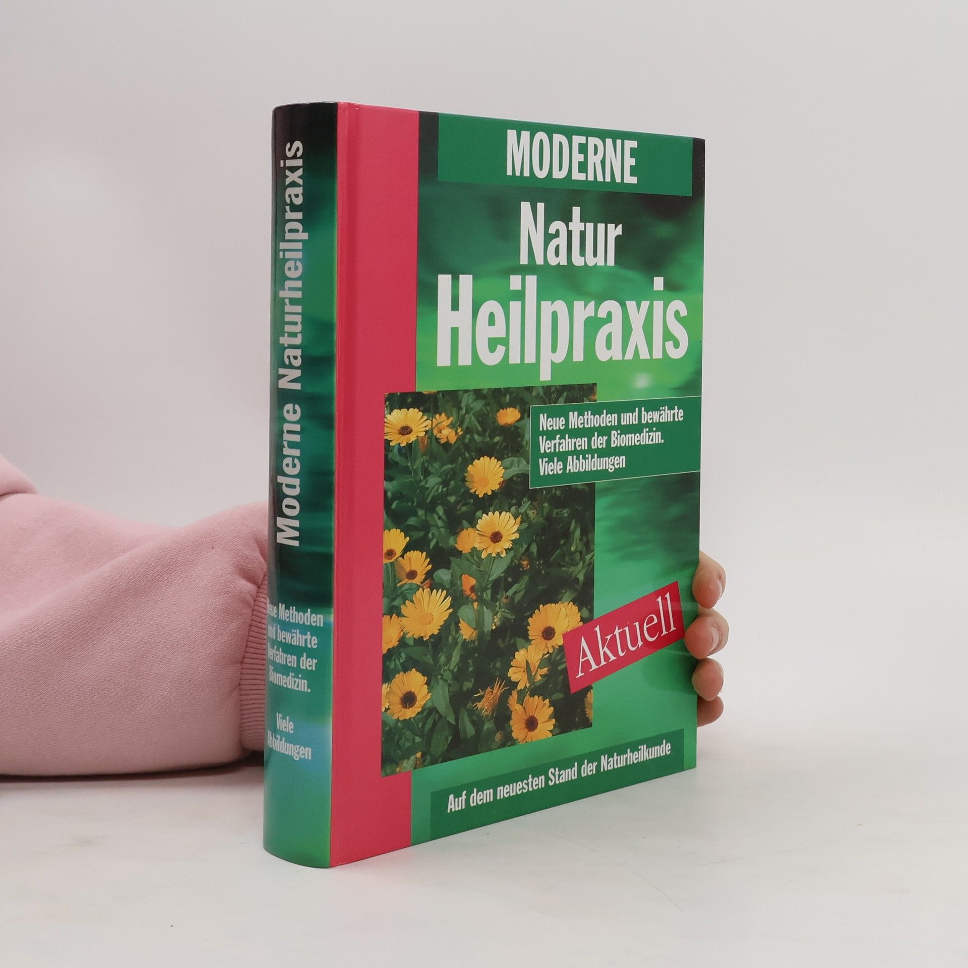 Kolektív autorov Moderne NAtur Heilpraxis