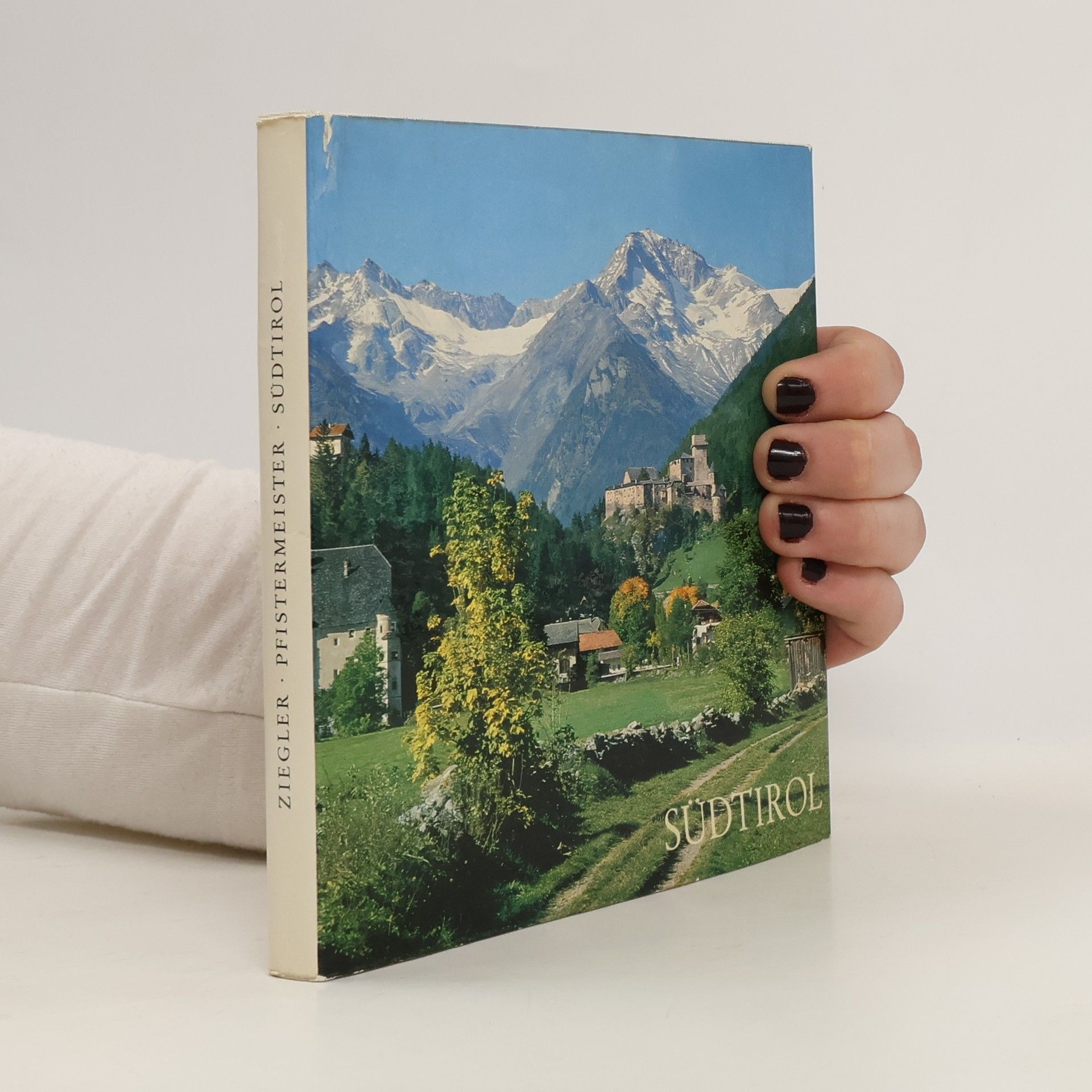 Ursula Pfistermeister Südtirol