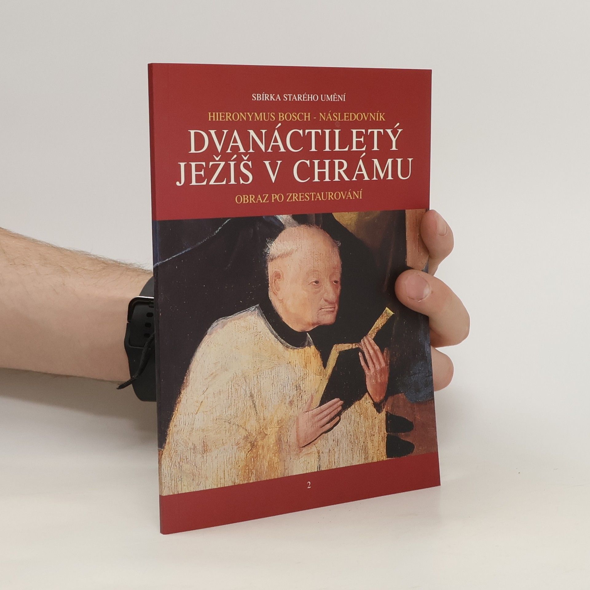Collectif d'auteurs Dvanáctiletý Ježíš v chrámu