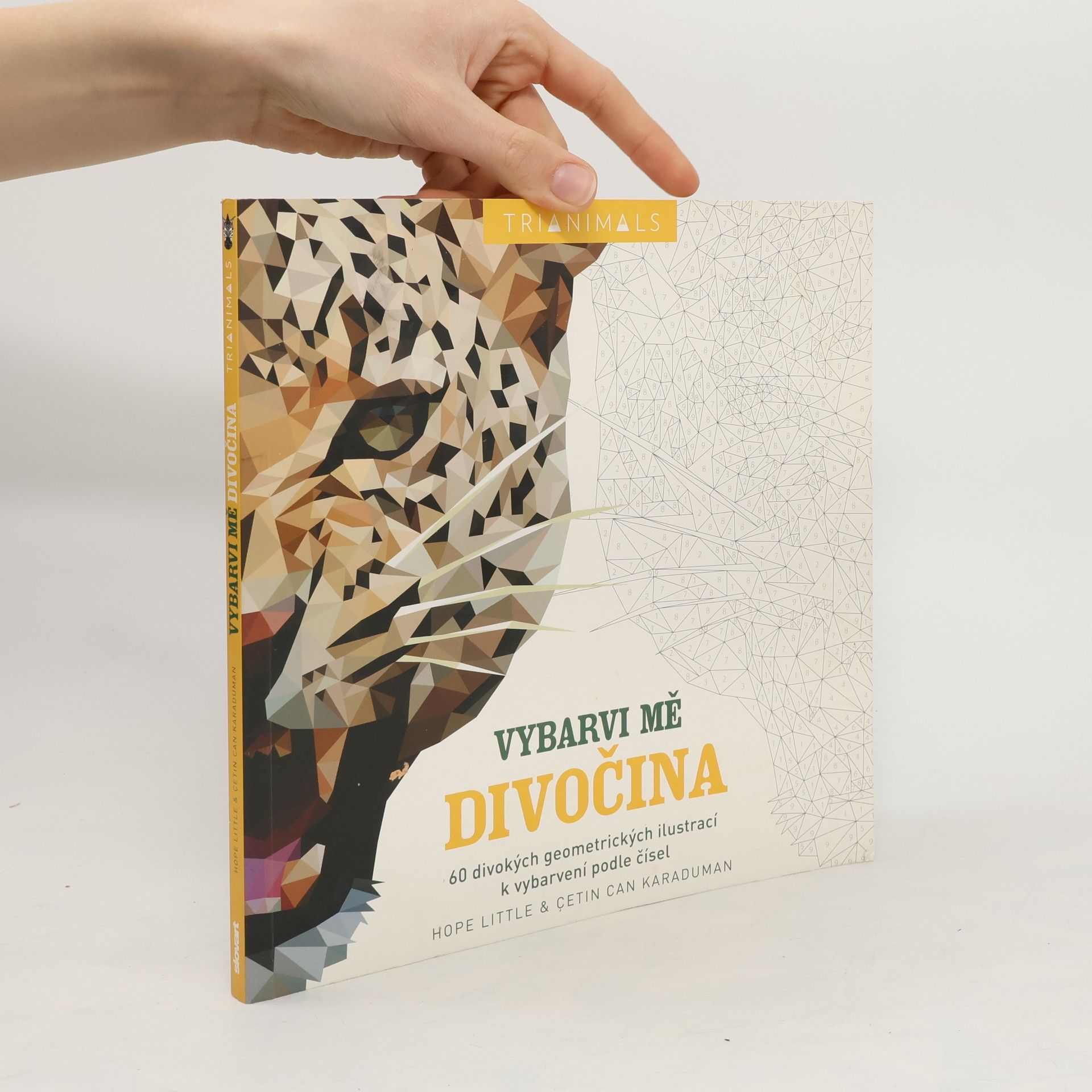 Hope Little Vybarvi mě - divočina : 60 divokých geometrických ilustrací k vybarvení podle čísel