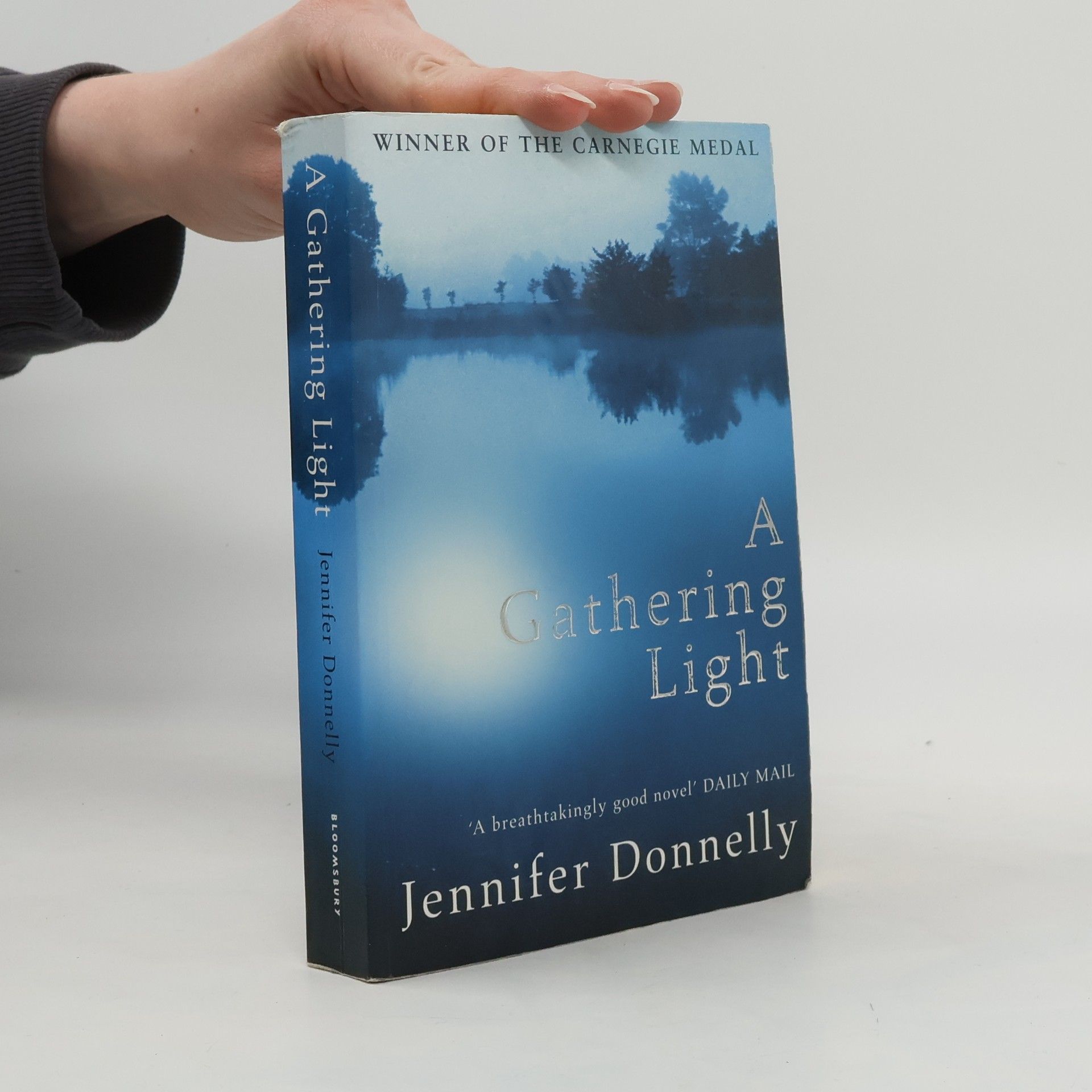 Jennifer Donnelly A gathering light