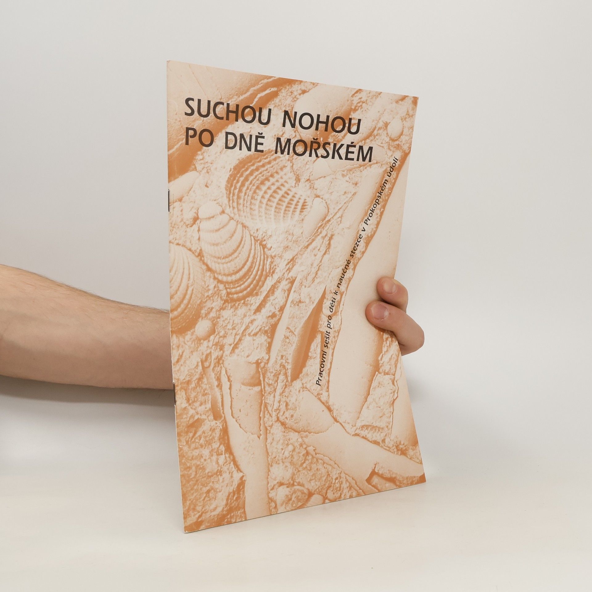 Petr Babouček Suchou nohou po dně mořském