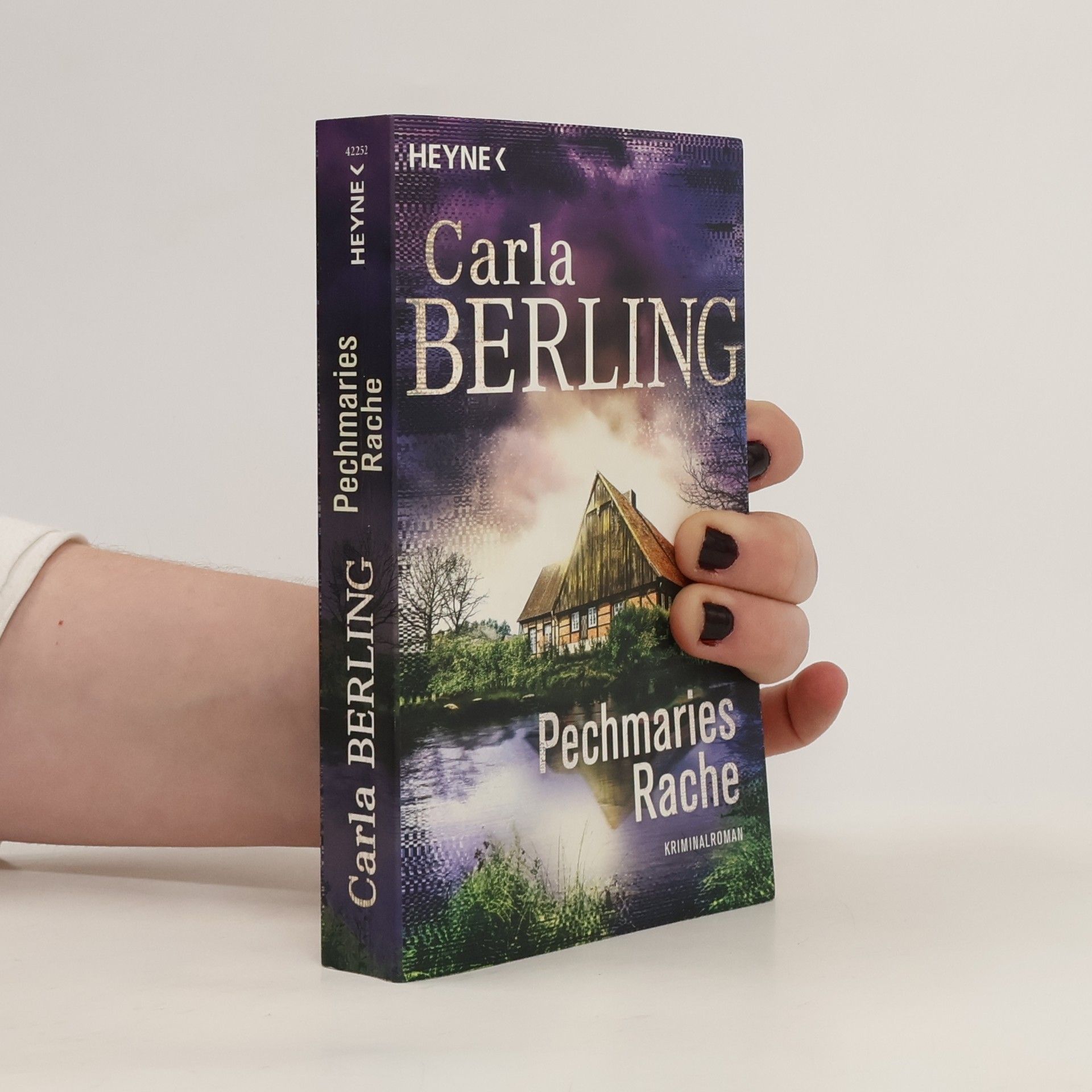Carla Berling Pechmaries Rache (Wittekind 5)