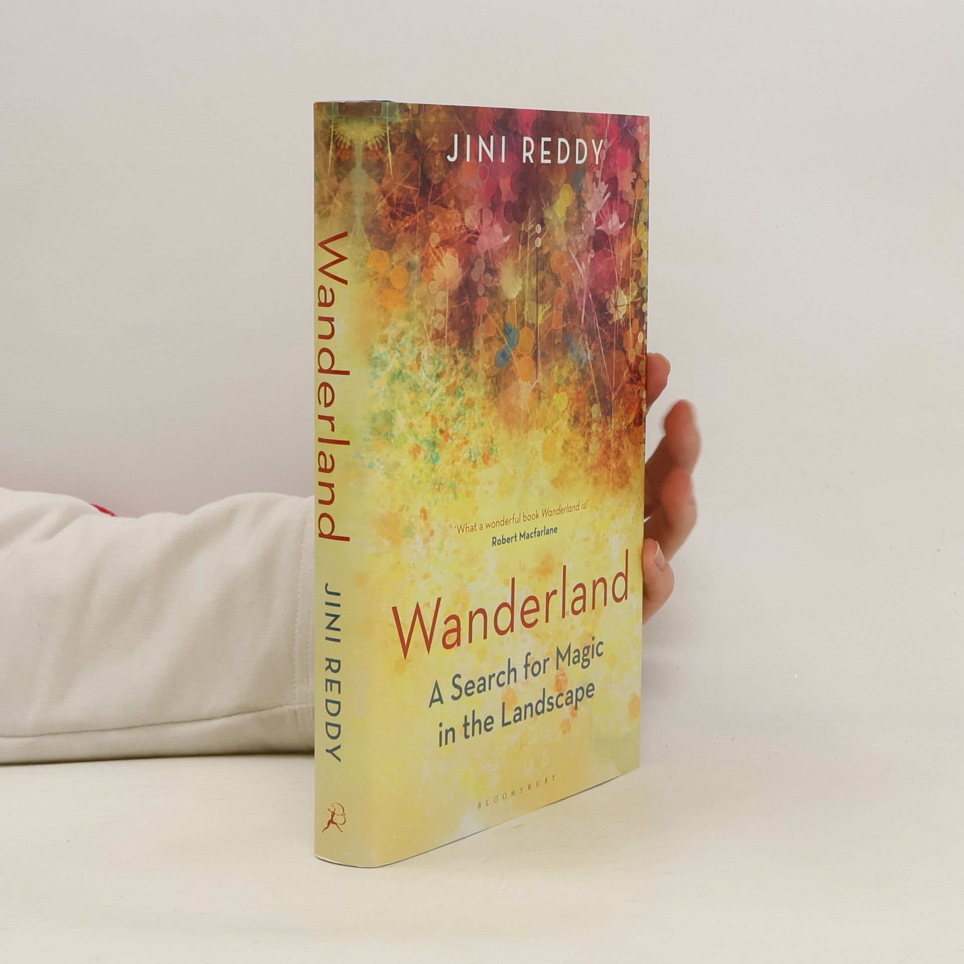 Jini Reddy Wanderland