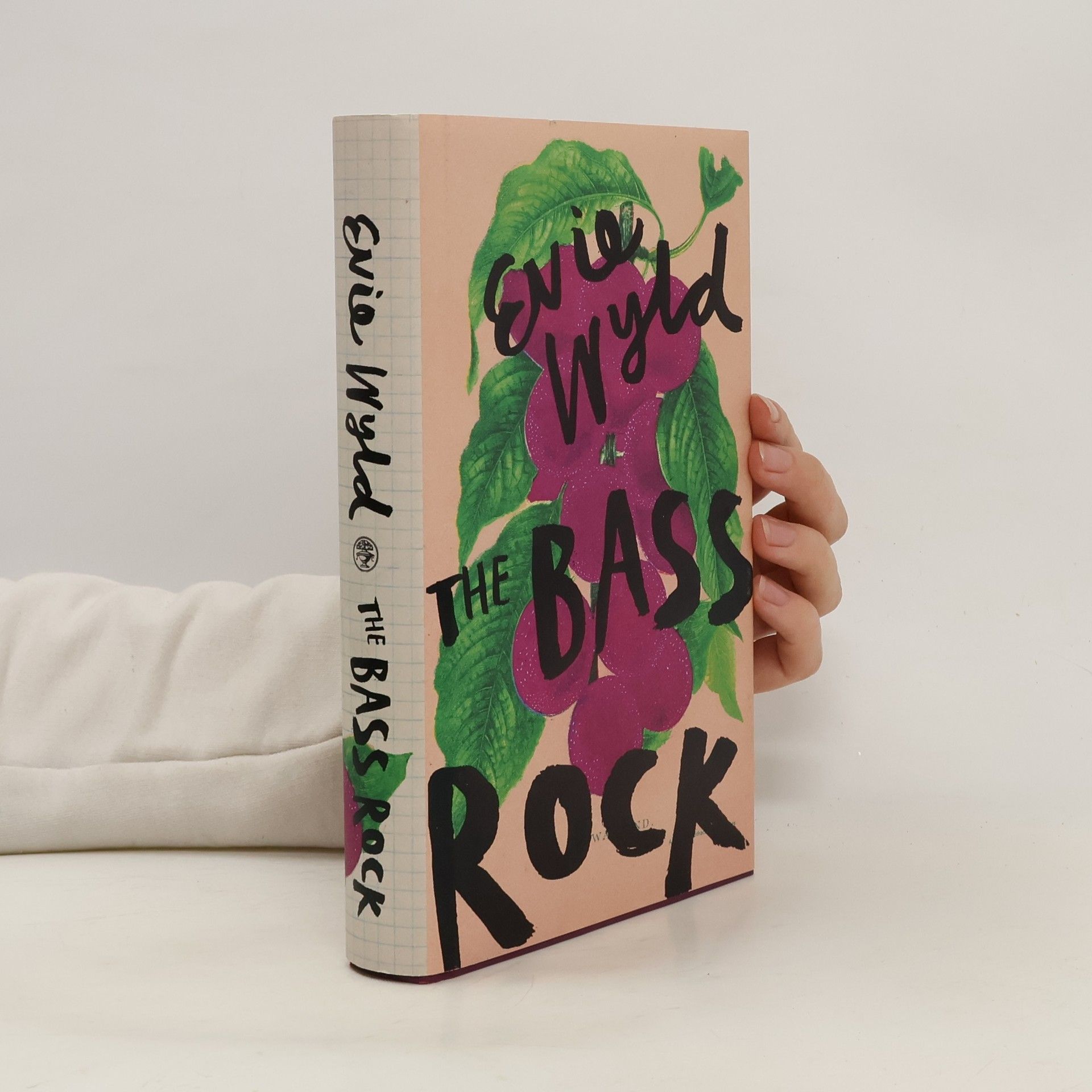 Evie Wyld The Bass Rock