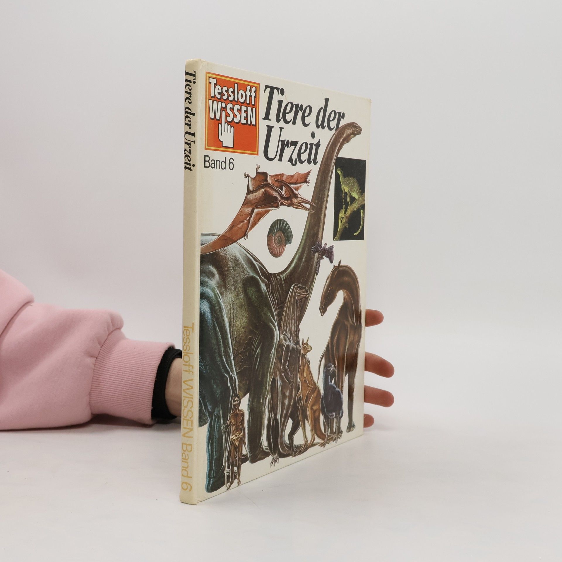 Collectif d'auteurs Tiere der Urzeit