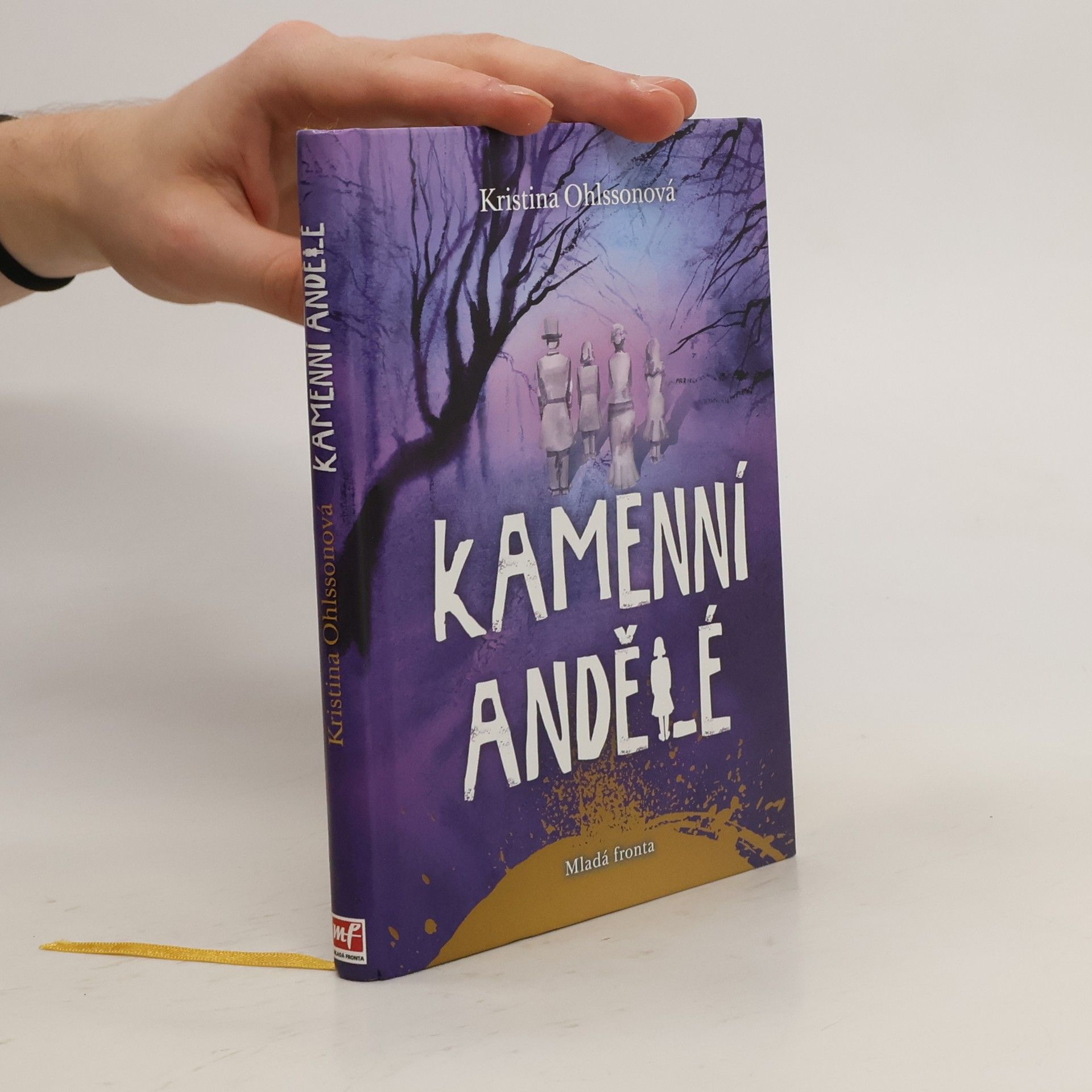 Kristina Ohlsson Kamenní andělé