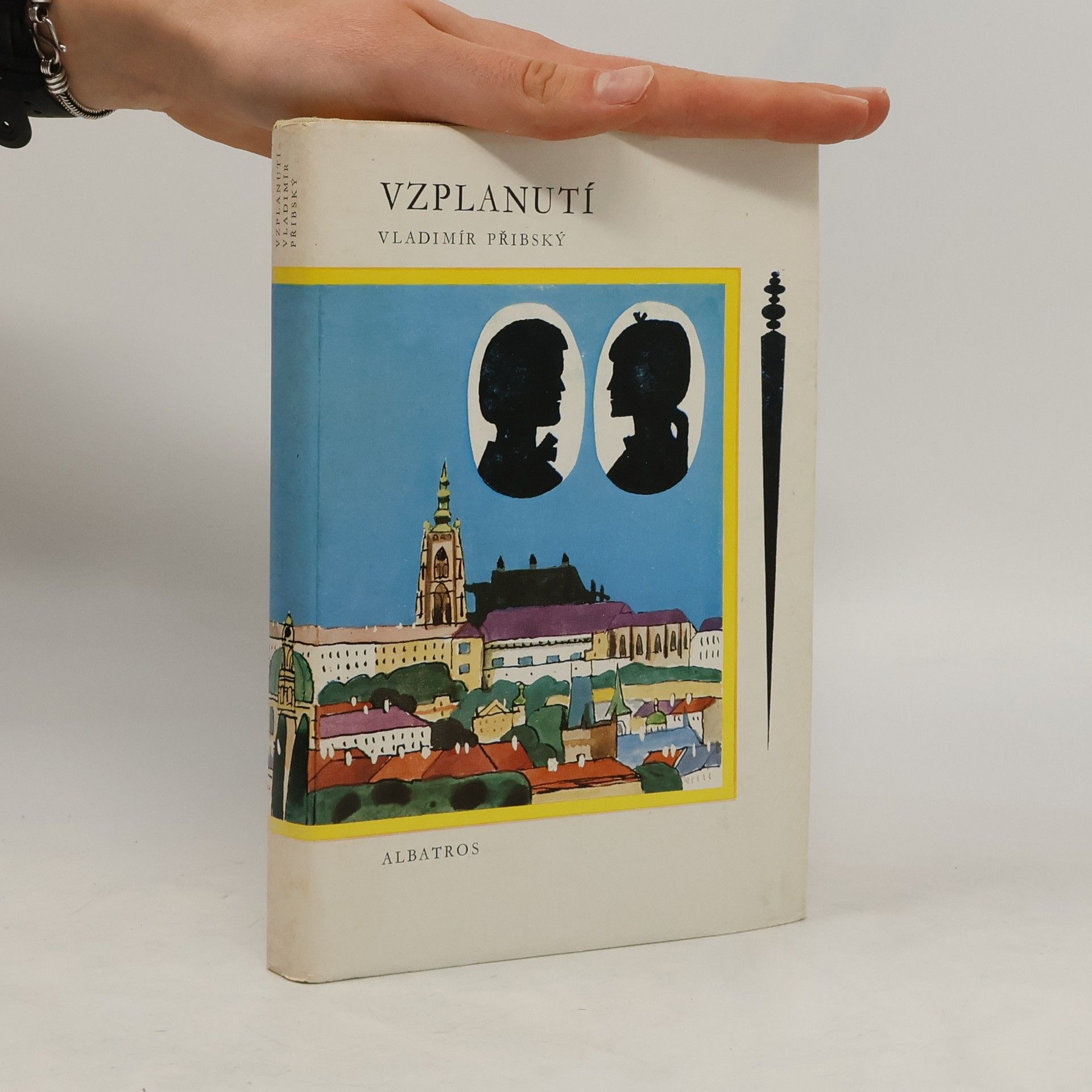 Vladimír Přibský Vzplanutí