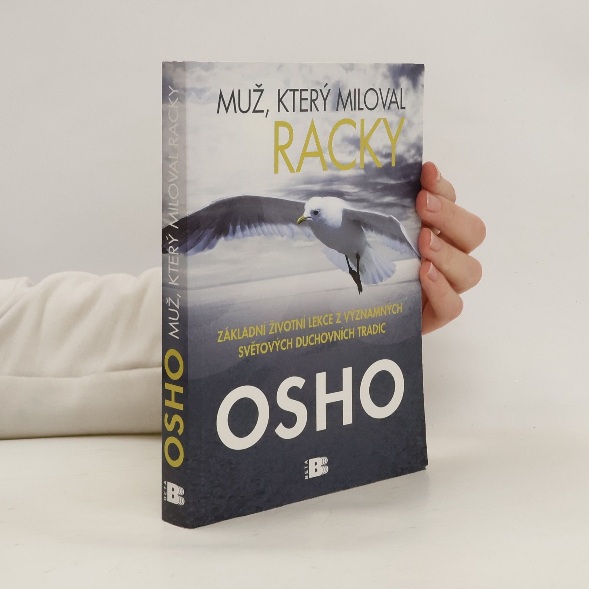 Ošó Muž, který miloval racky. Základní životní lekce z významných světových duchovních tradic