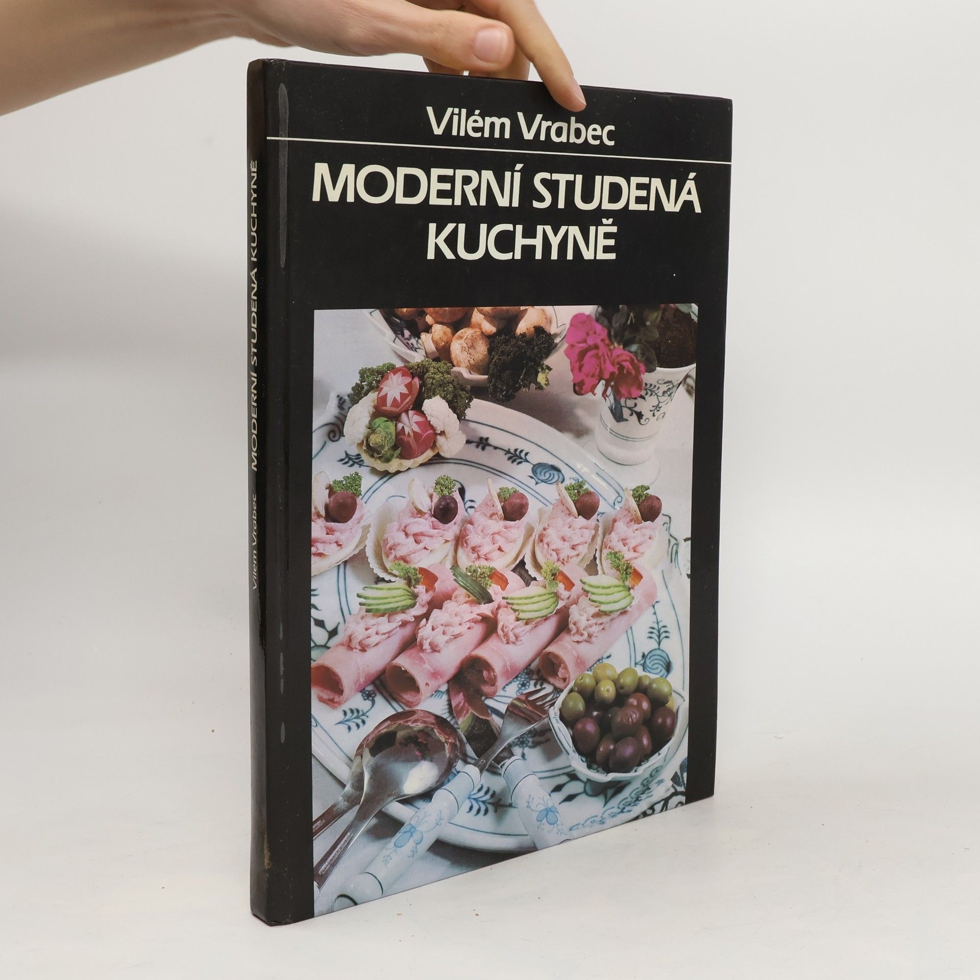 Vilém Vrabec Moderní studená kuchyně