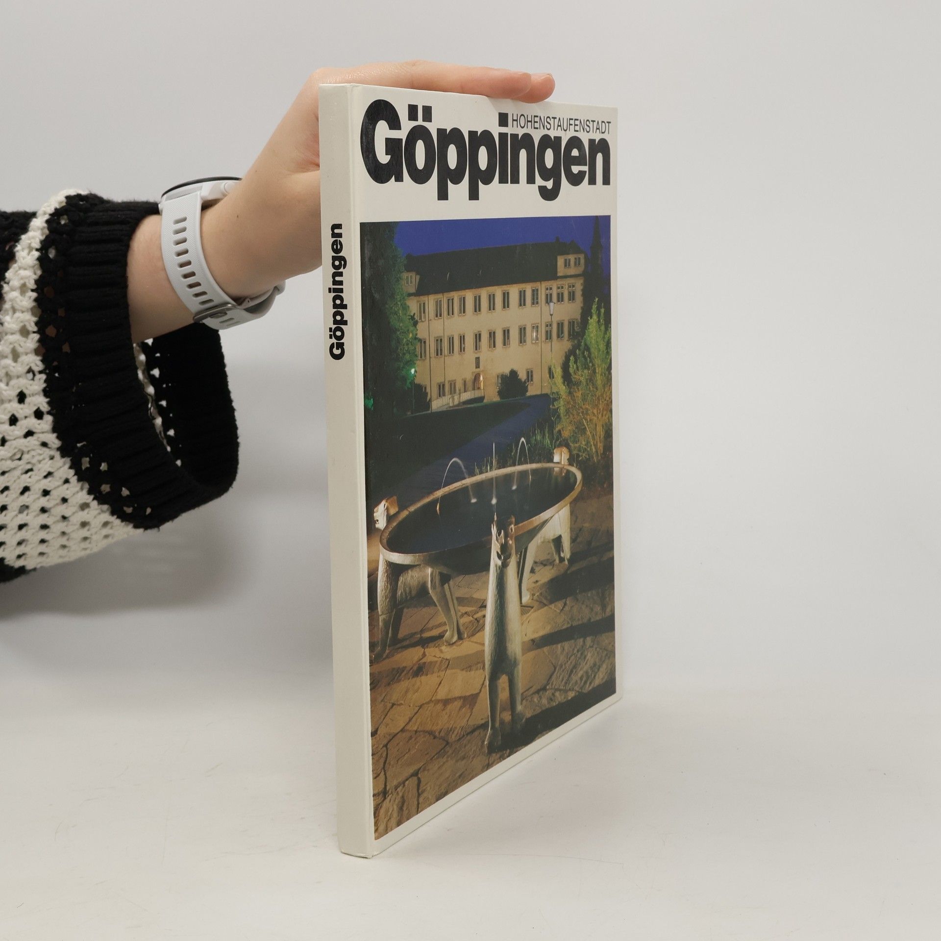 Collectif d'auteurs Hohenstaufenstadt Göppingen