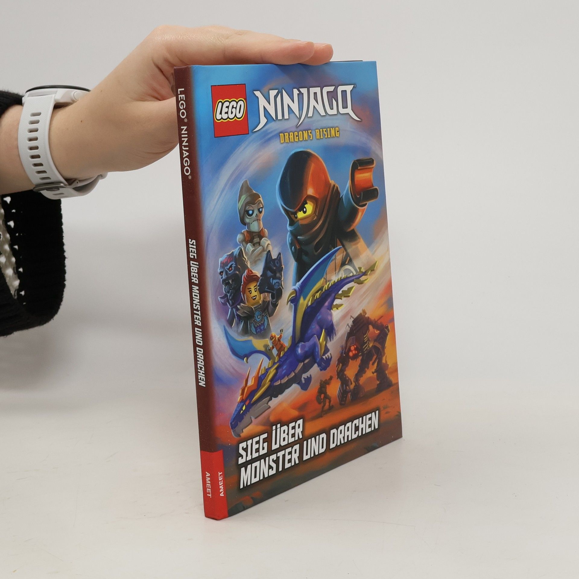 Collective LEGO® NINJAGO® – Sieg über Monster und Drachen
