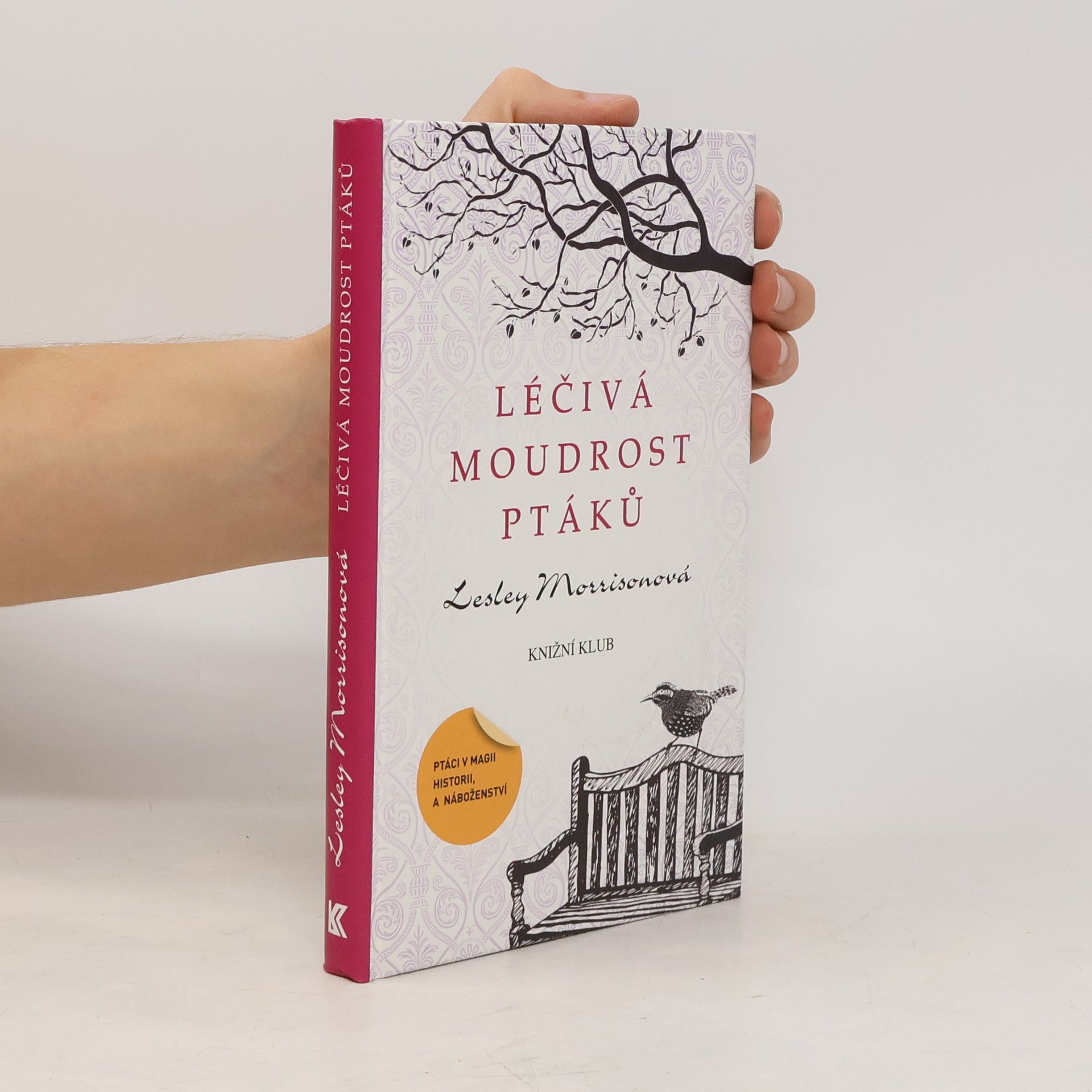 Lesley Morrison Léčivá moudrost ptáků : ptáci v magii, historii a náboženství