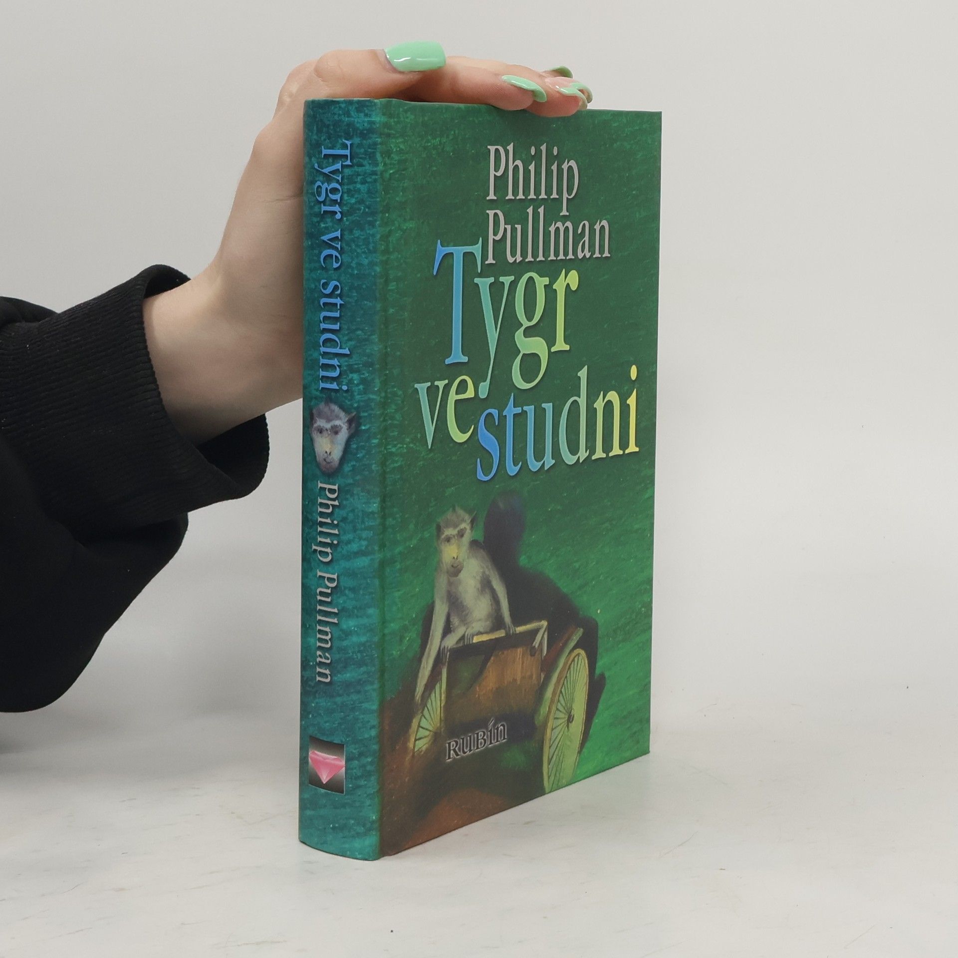 Philip Pullman Tygr ve studni