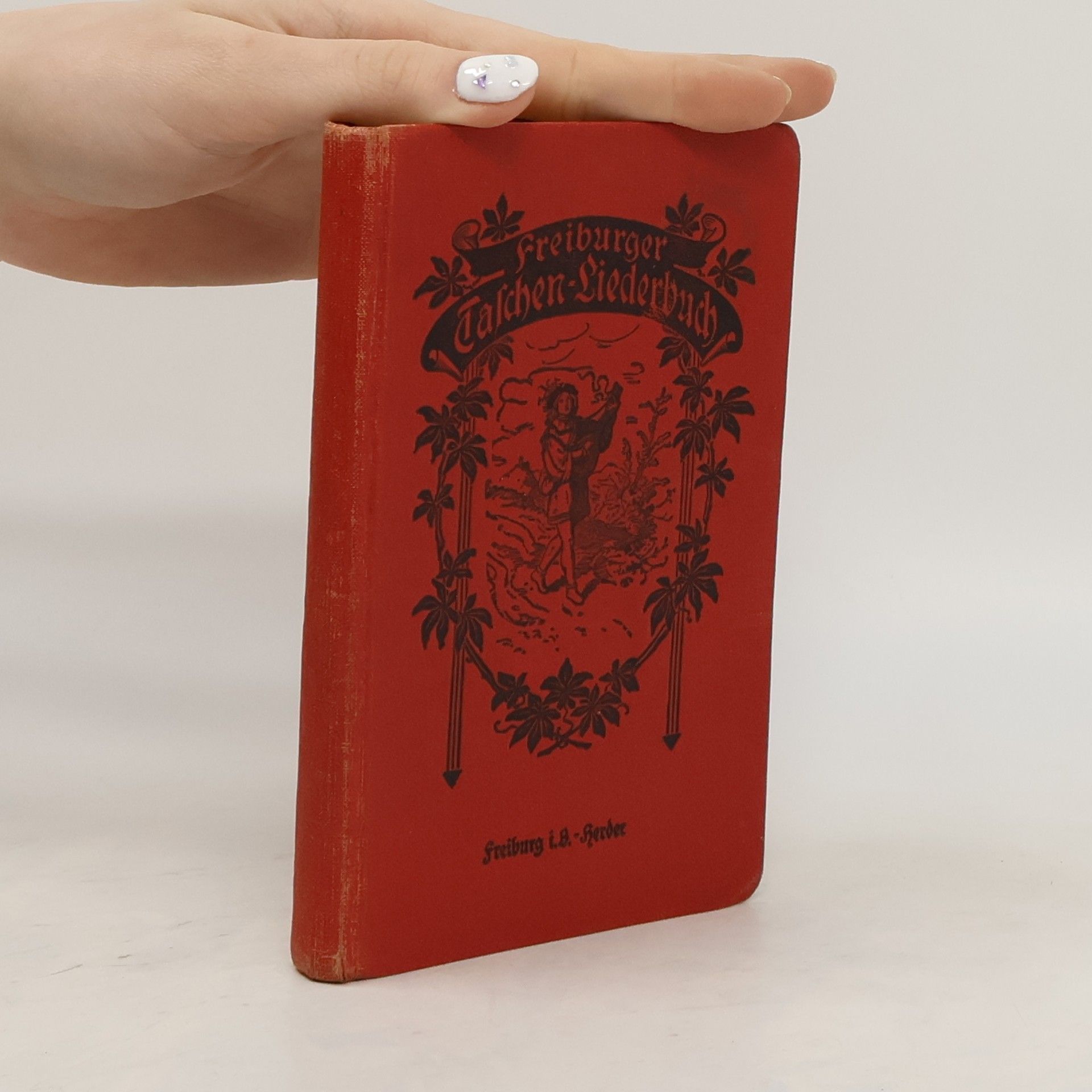 Collectif d'auteurs Freiburger Taschen Liederbuch