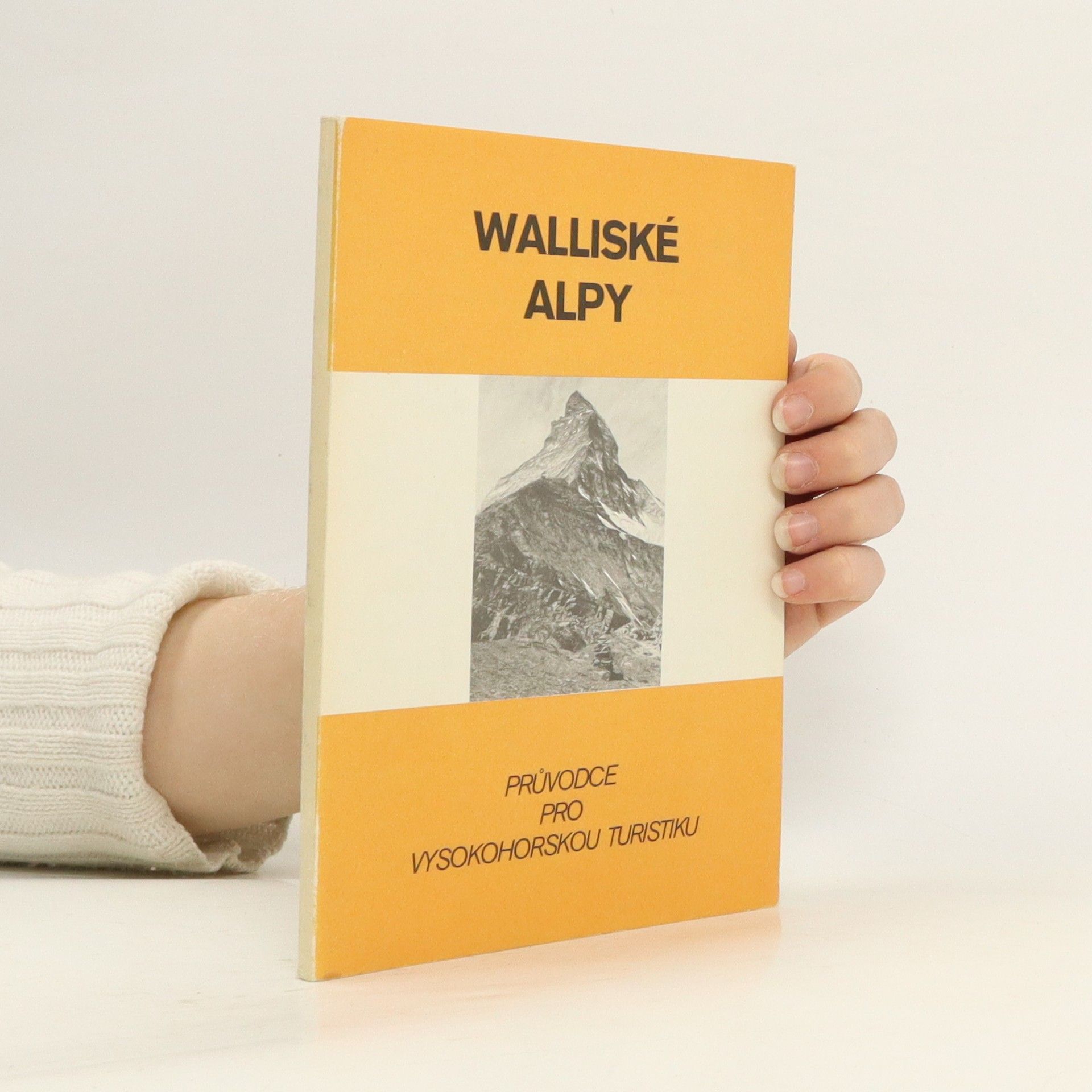 Ivo Hejl Walliské Alpy: Průvodce pro vysokohorskou turistiku