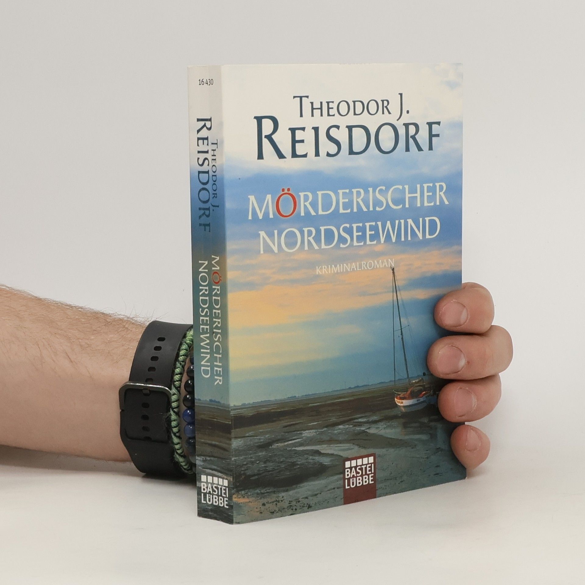Theodor J. Reisdorf Mörderischer Nordseewind