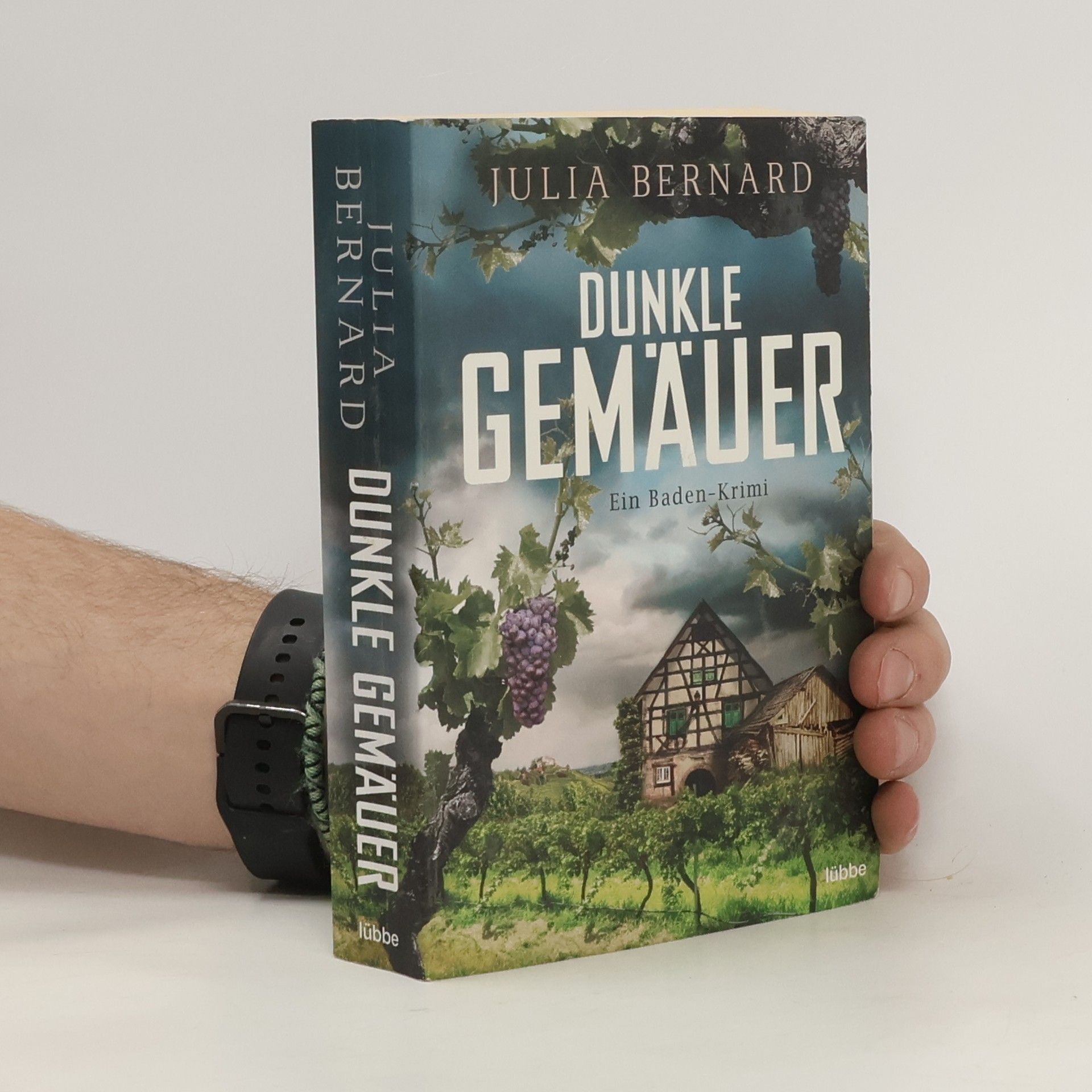 Julia Bernard Dunkle Gemäuer