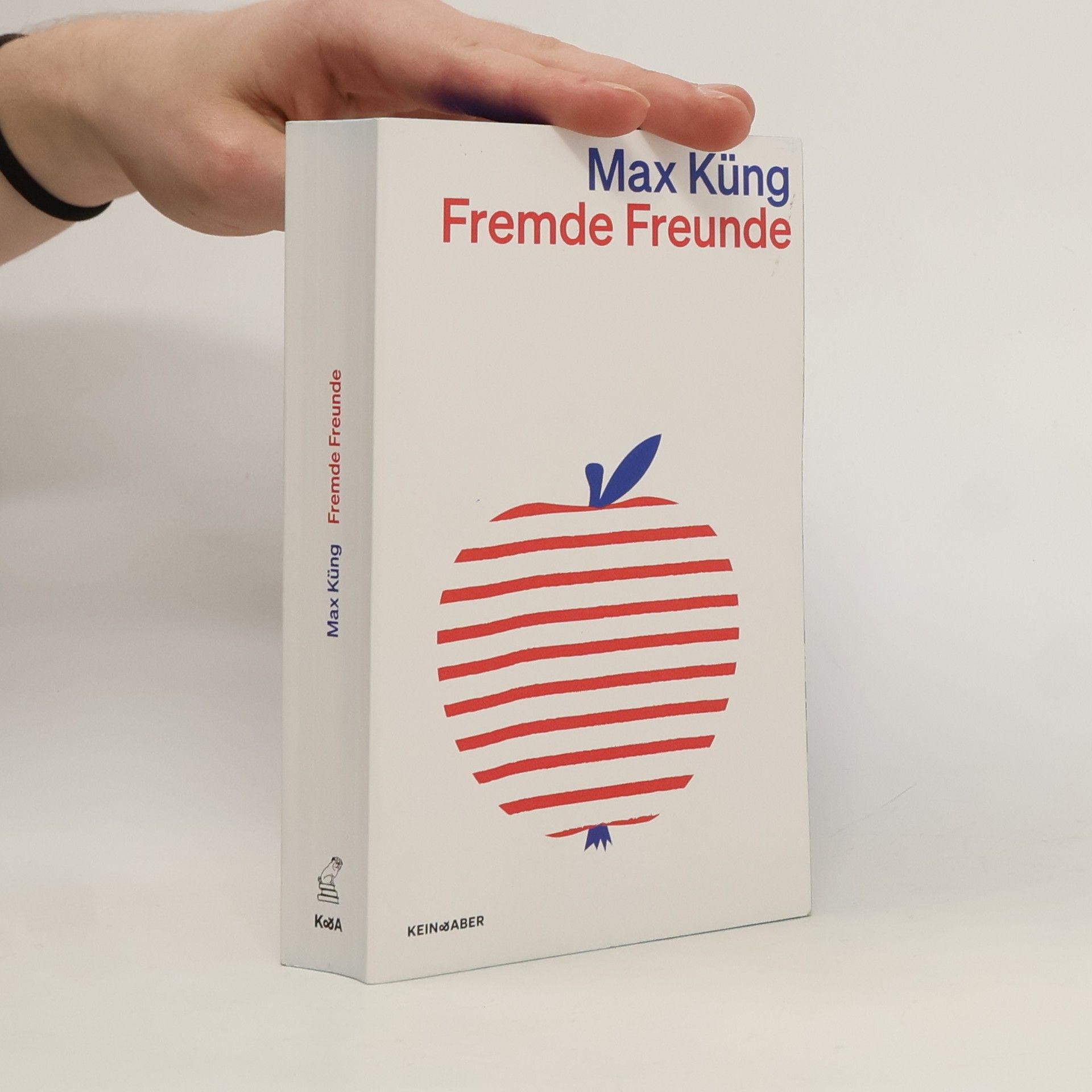 Max Küng Fremde Freunde