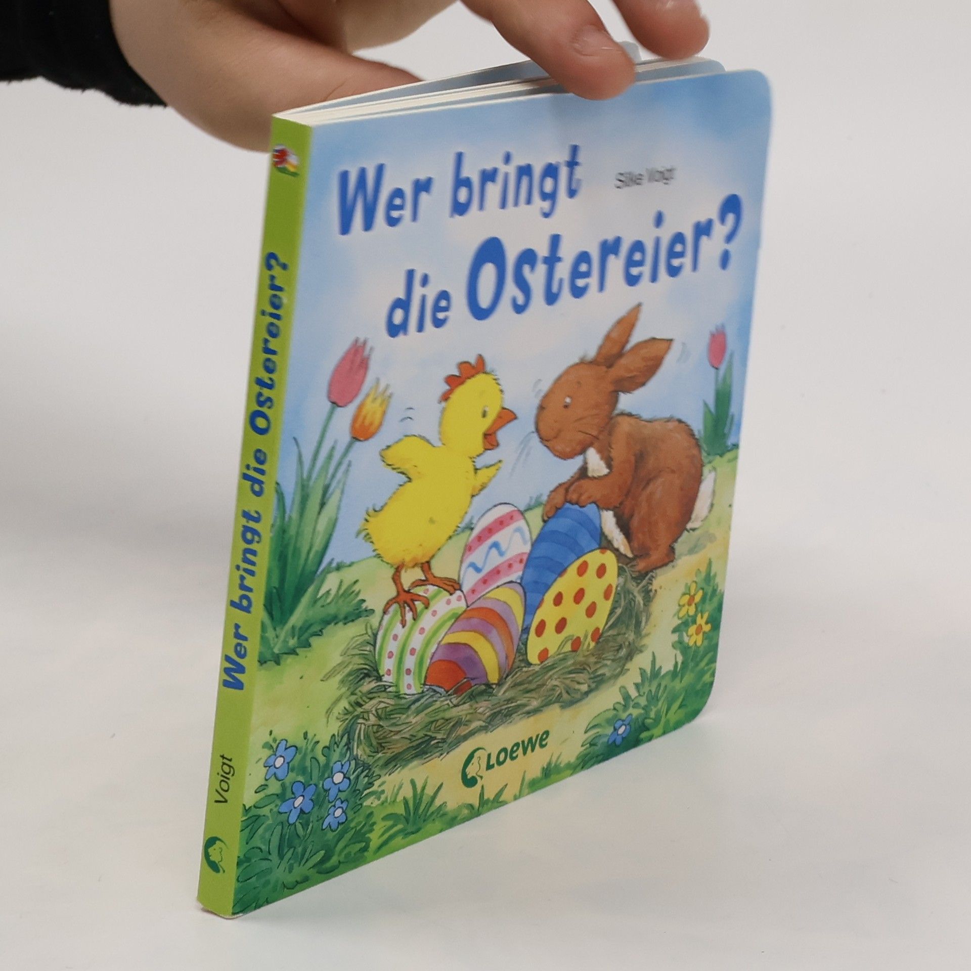 Silke Voigt Wer bringt die Ostereier?