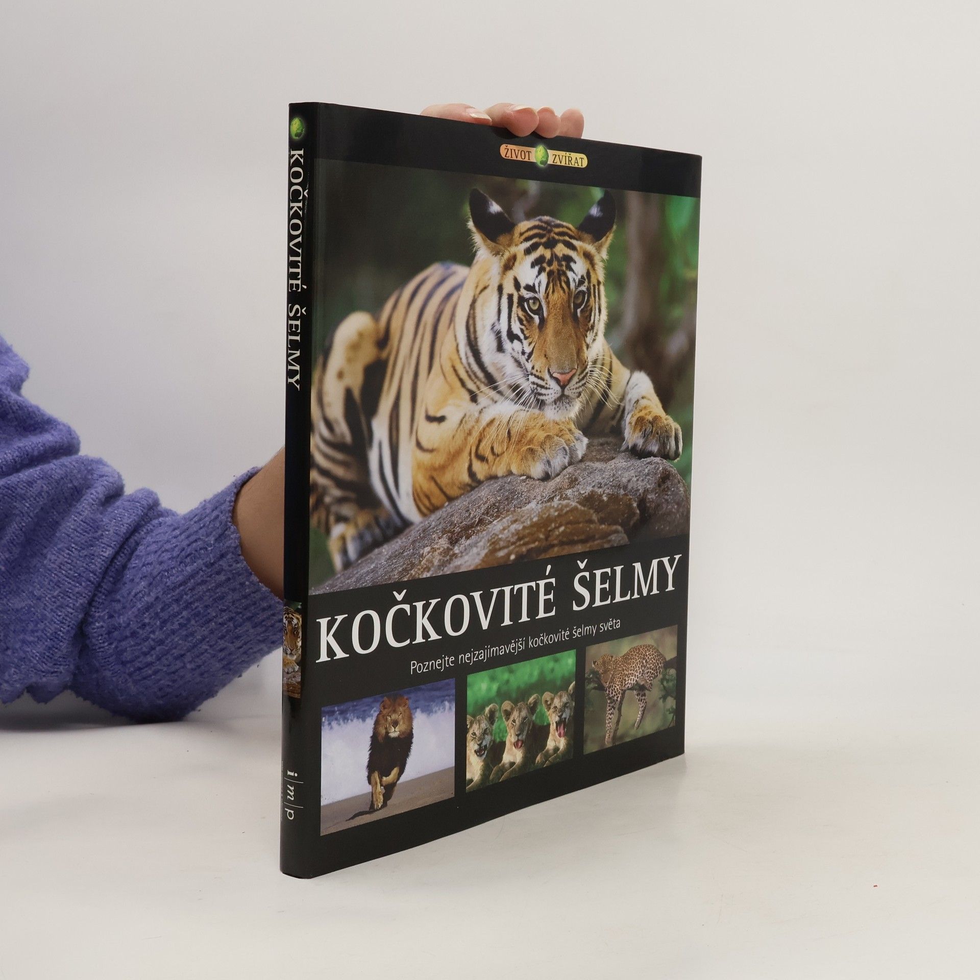 Vladimír Motyčka Kočkovité šelmy