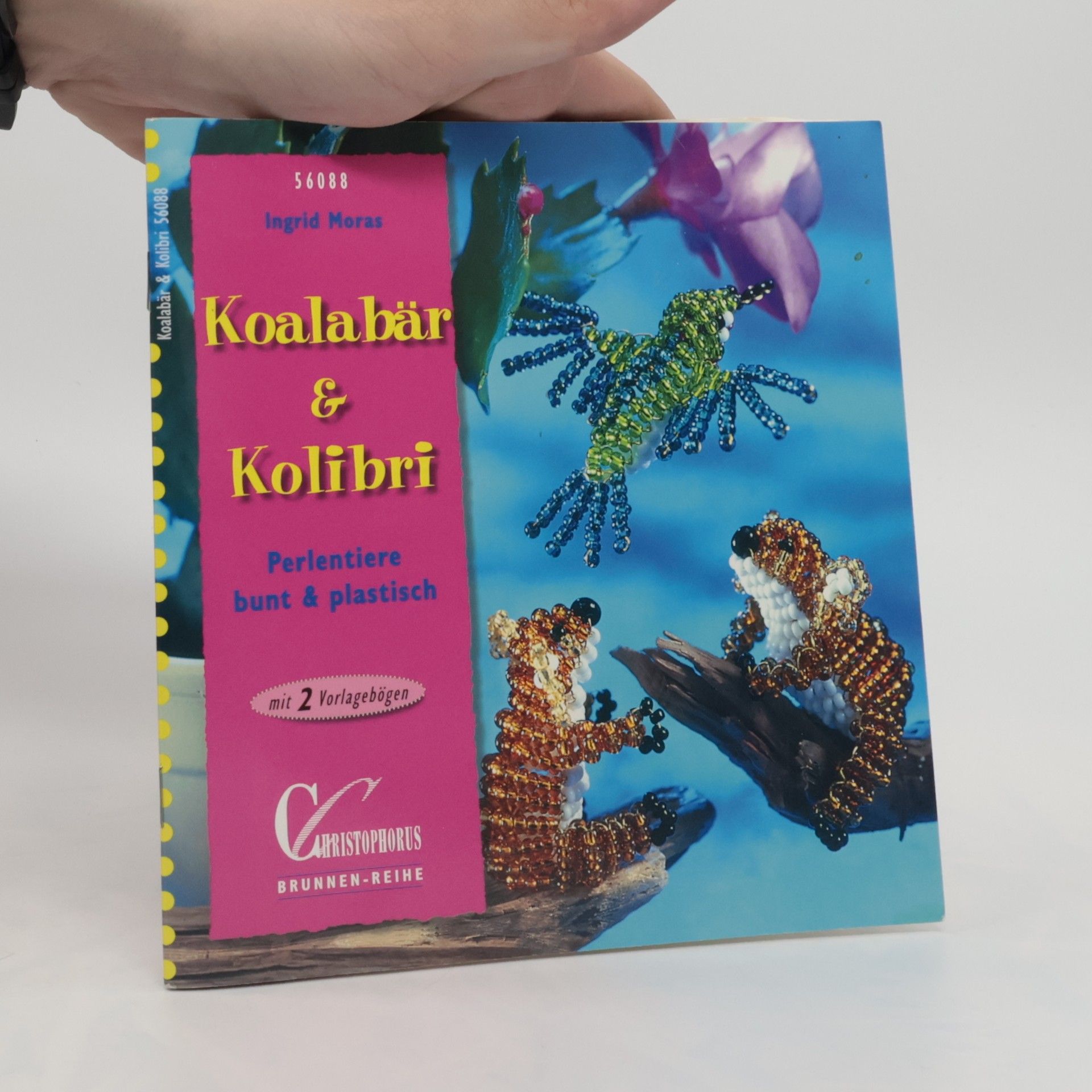 Autorenkollektiv Koalabär & Kolibri