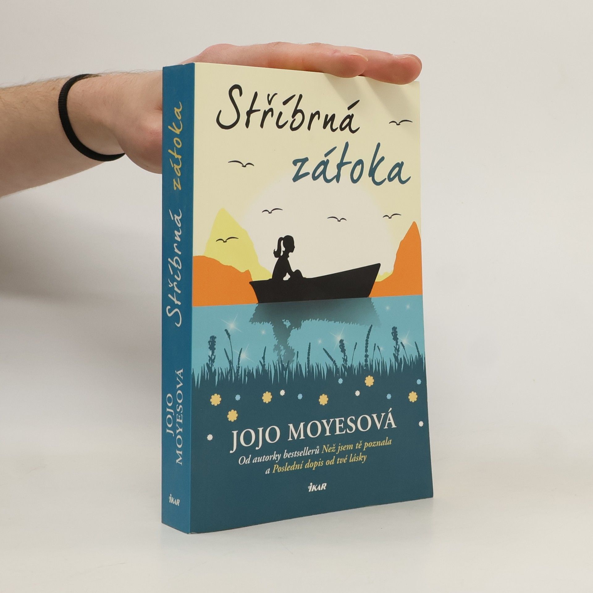 Jojo Moyes Stříbrná zátoka