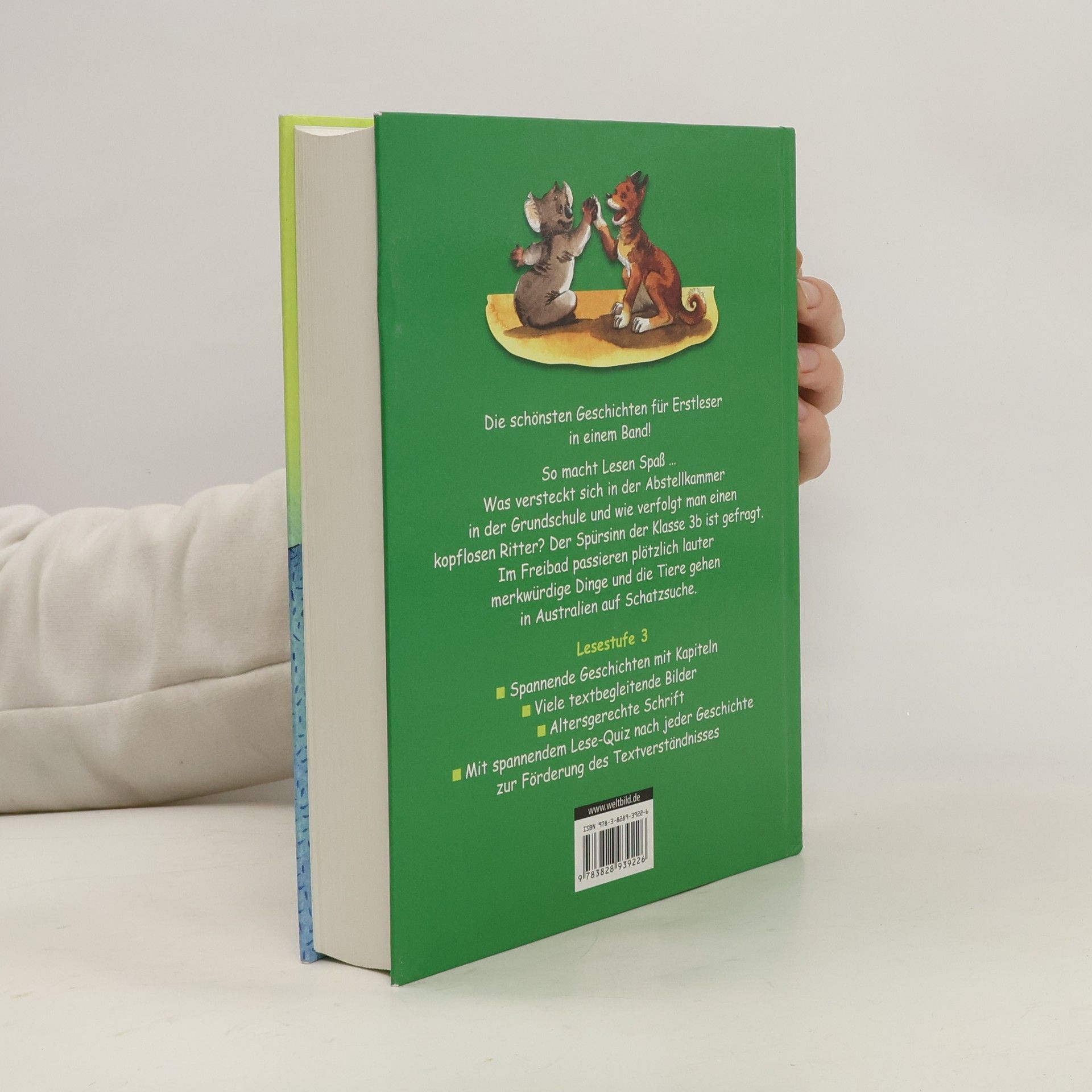 Mein superdickes Geschichtenbuch für Erstleser