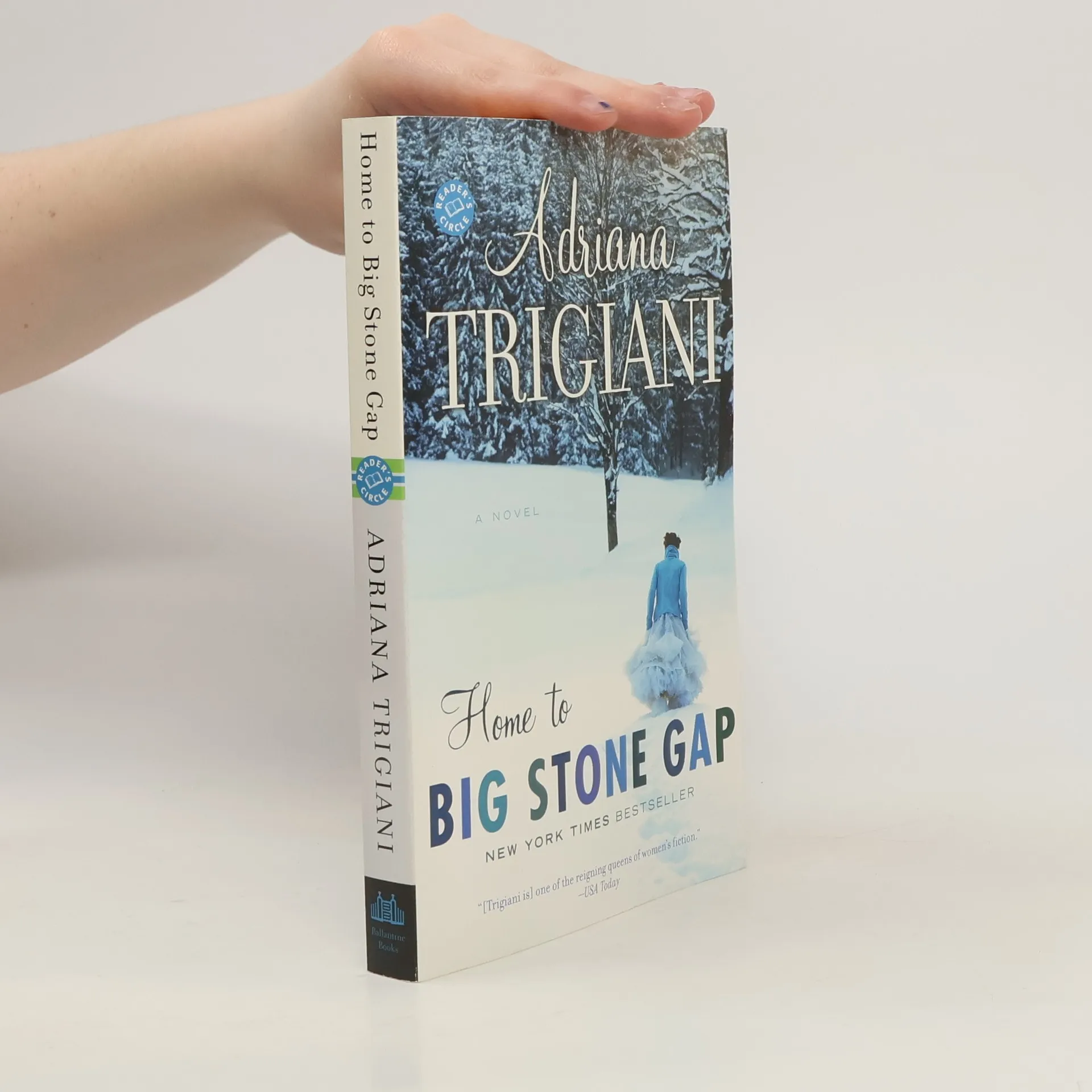 Home to Big Stone Gap | Book | Paperback | Adriana Trigiani | EN