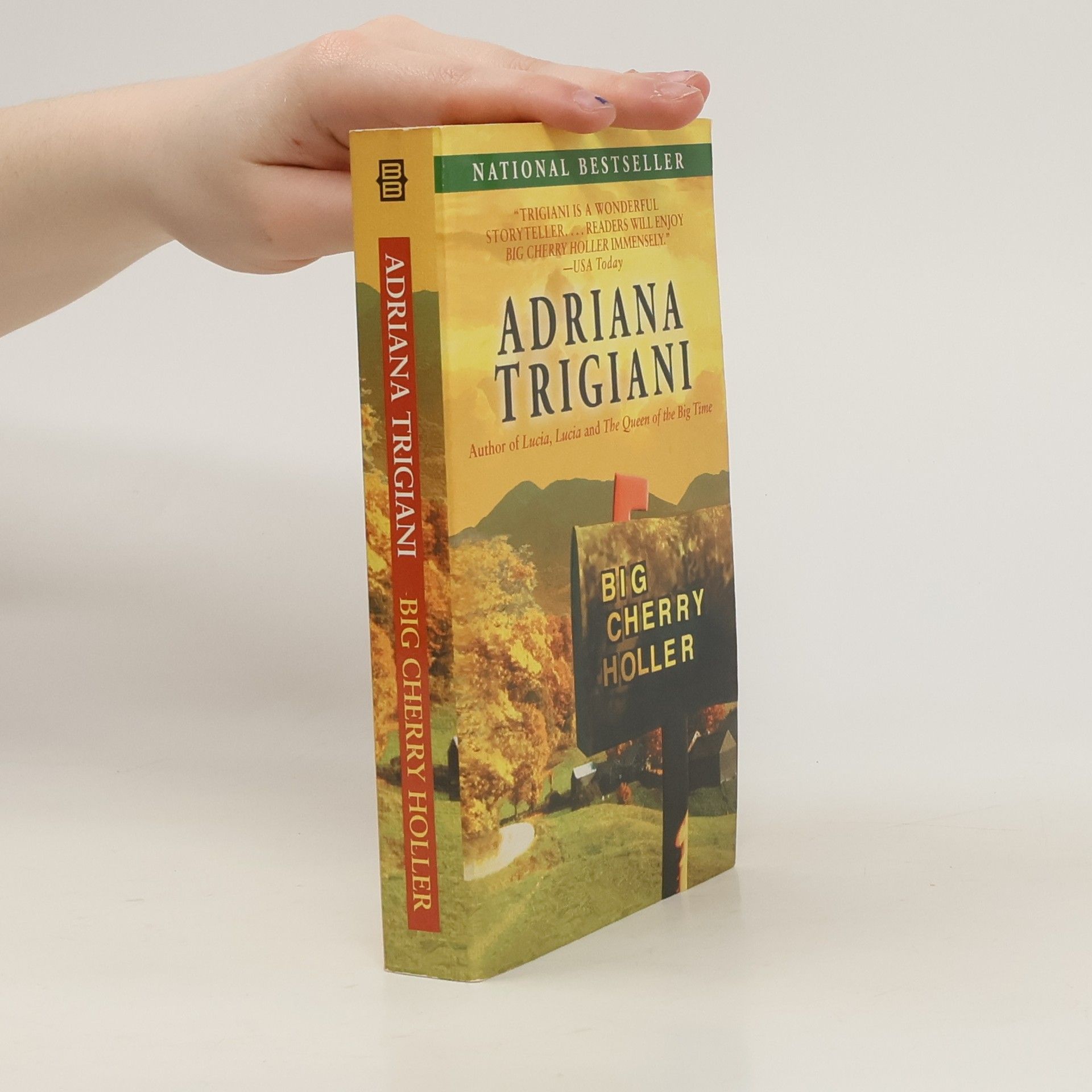 Adriana Trigiani Big Cherry Holler