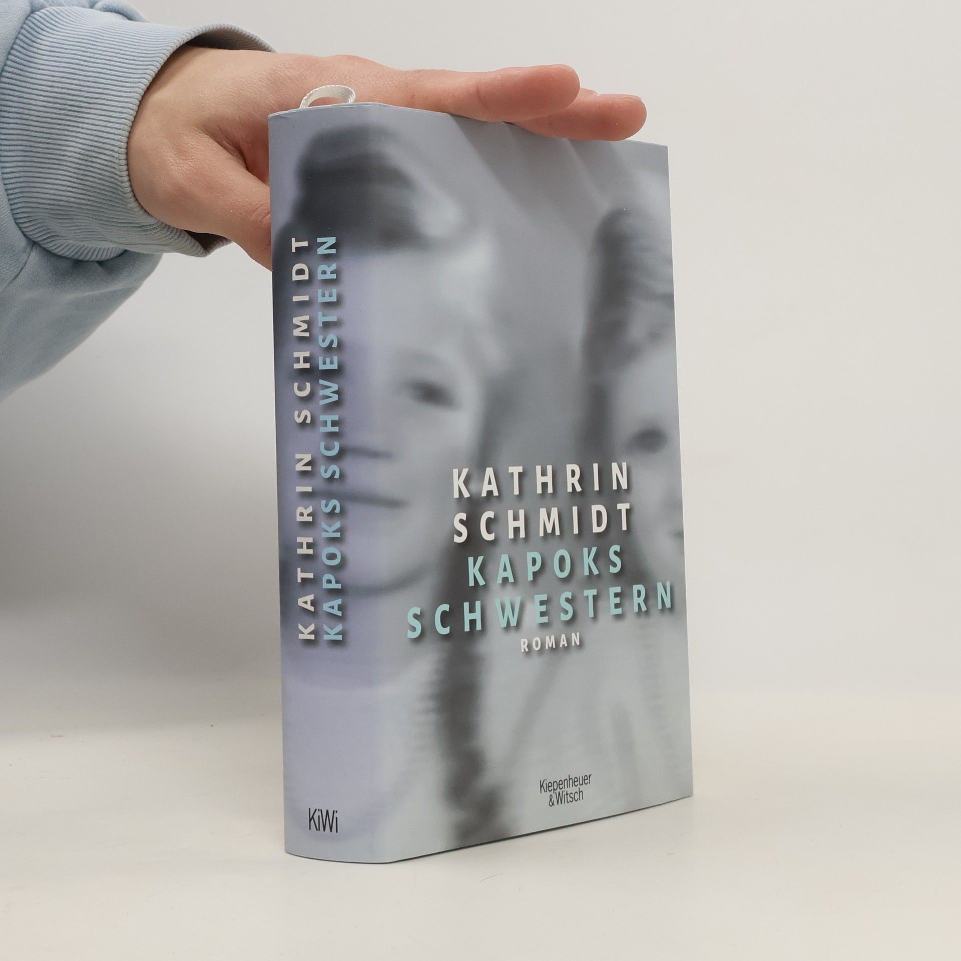 Kathrin Schmidt Kapoks Schwestern