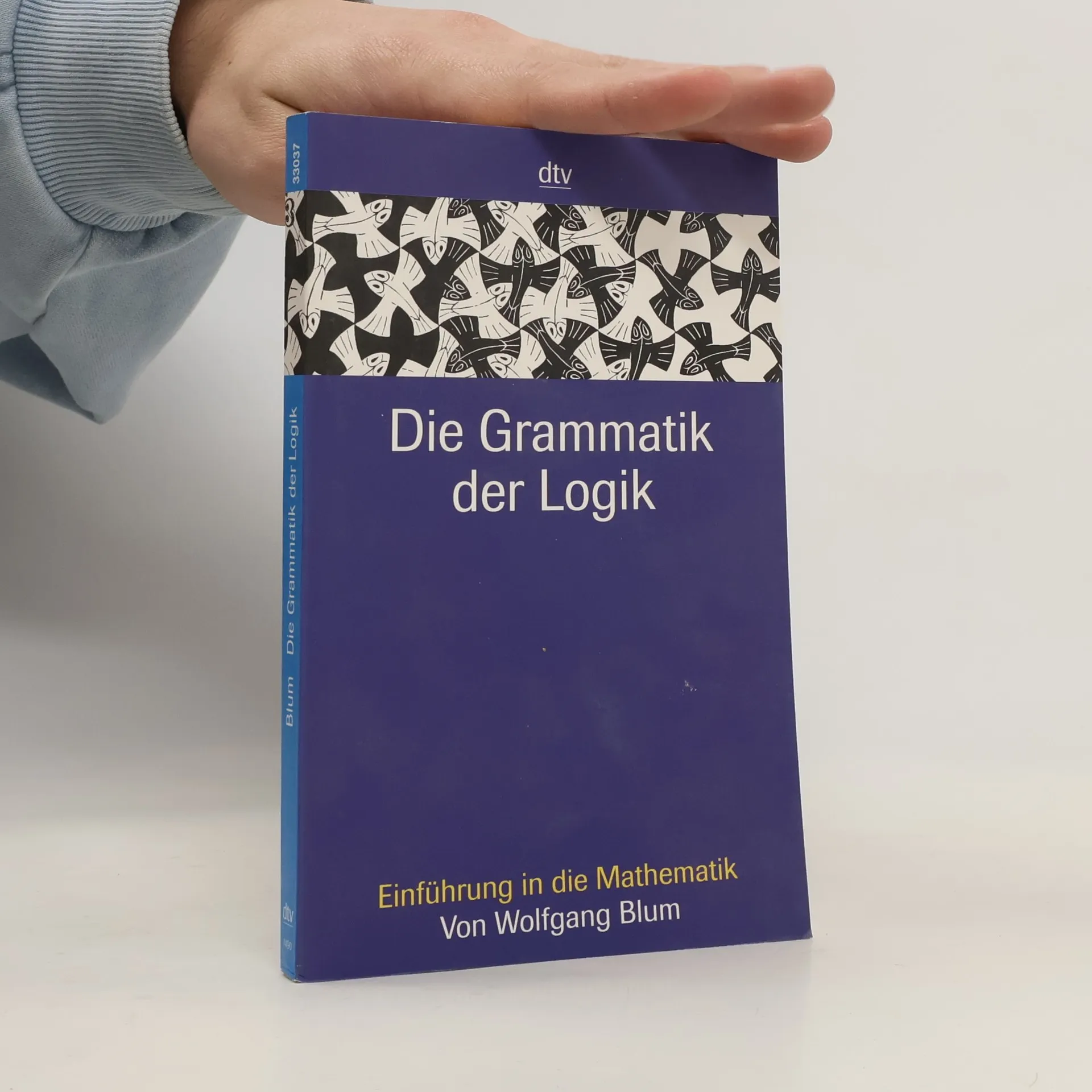 Die Grammatik der Logik | Buch | Wolfgang Blum