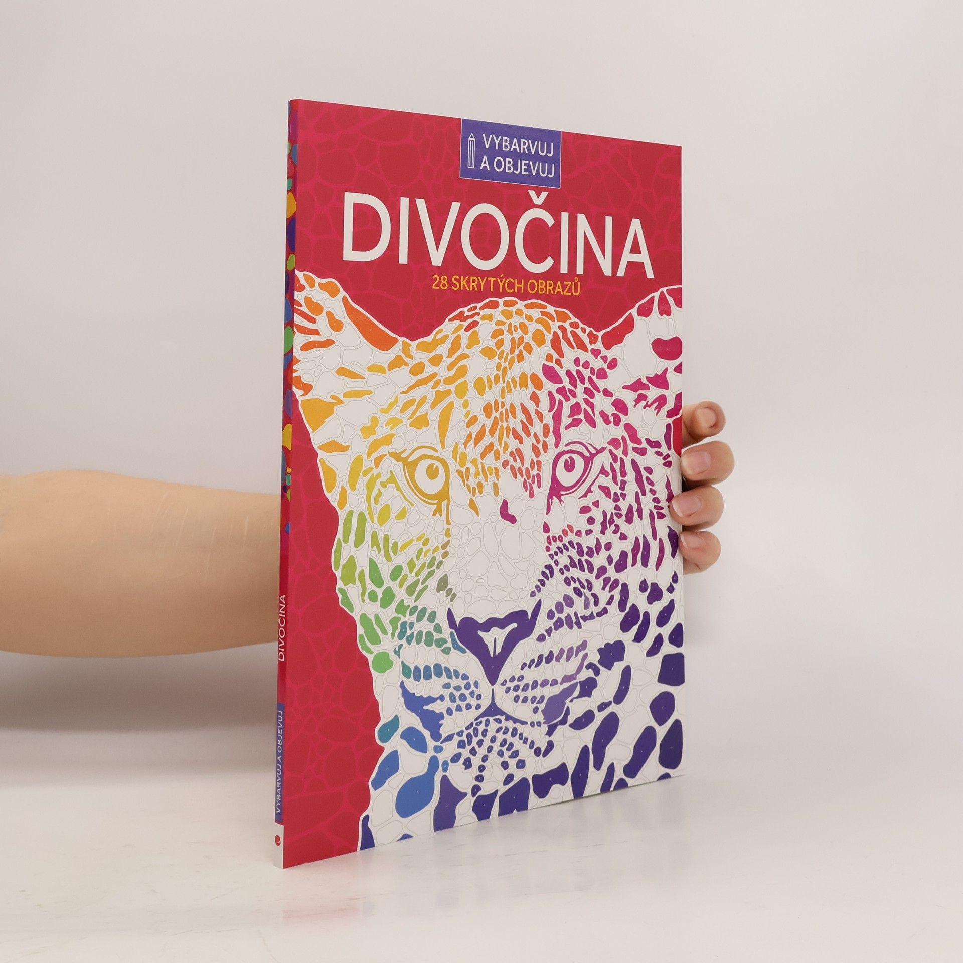 Autorenkollektiv Divočina 28 skrytých obrazů