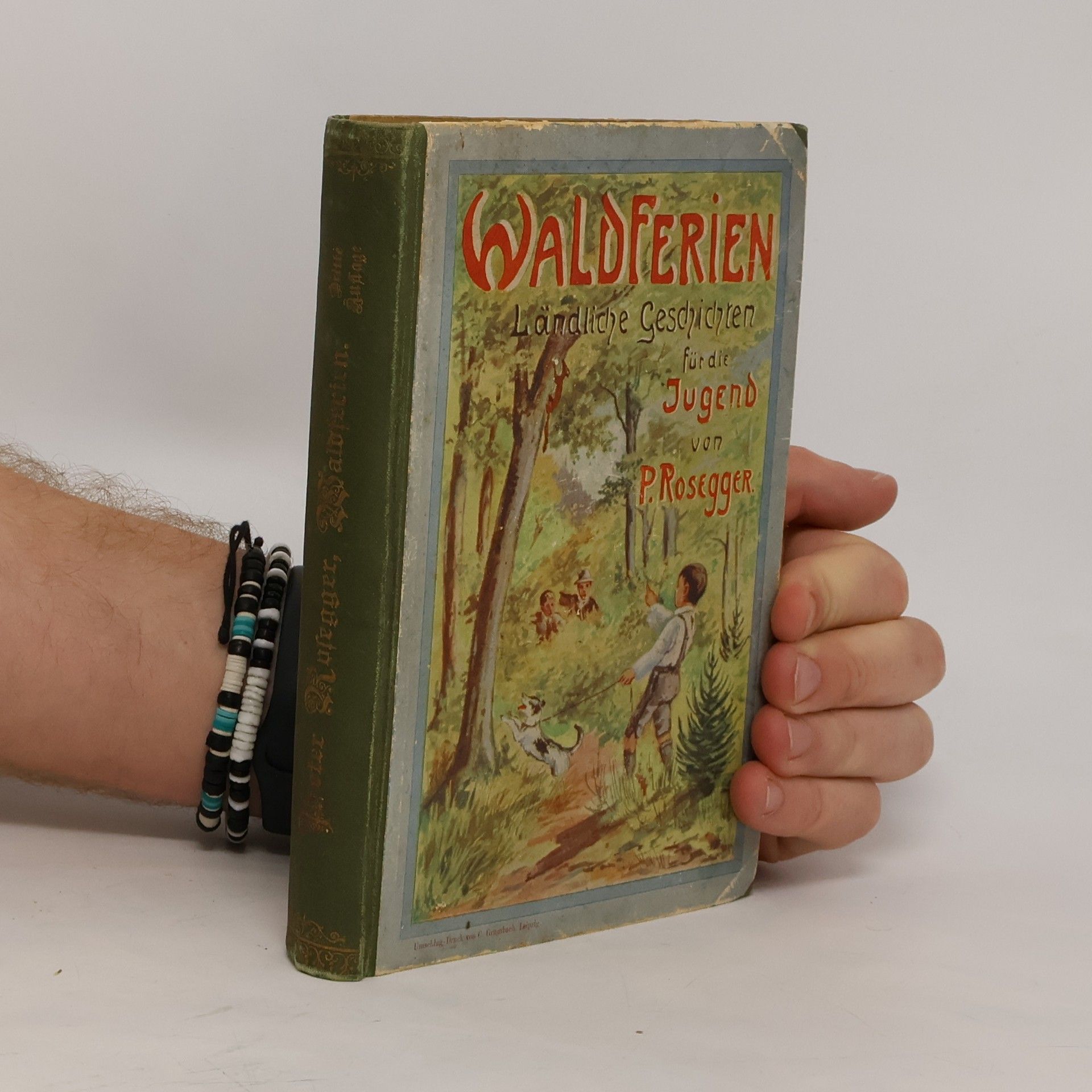Peter Rosegger Waldferien