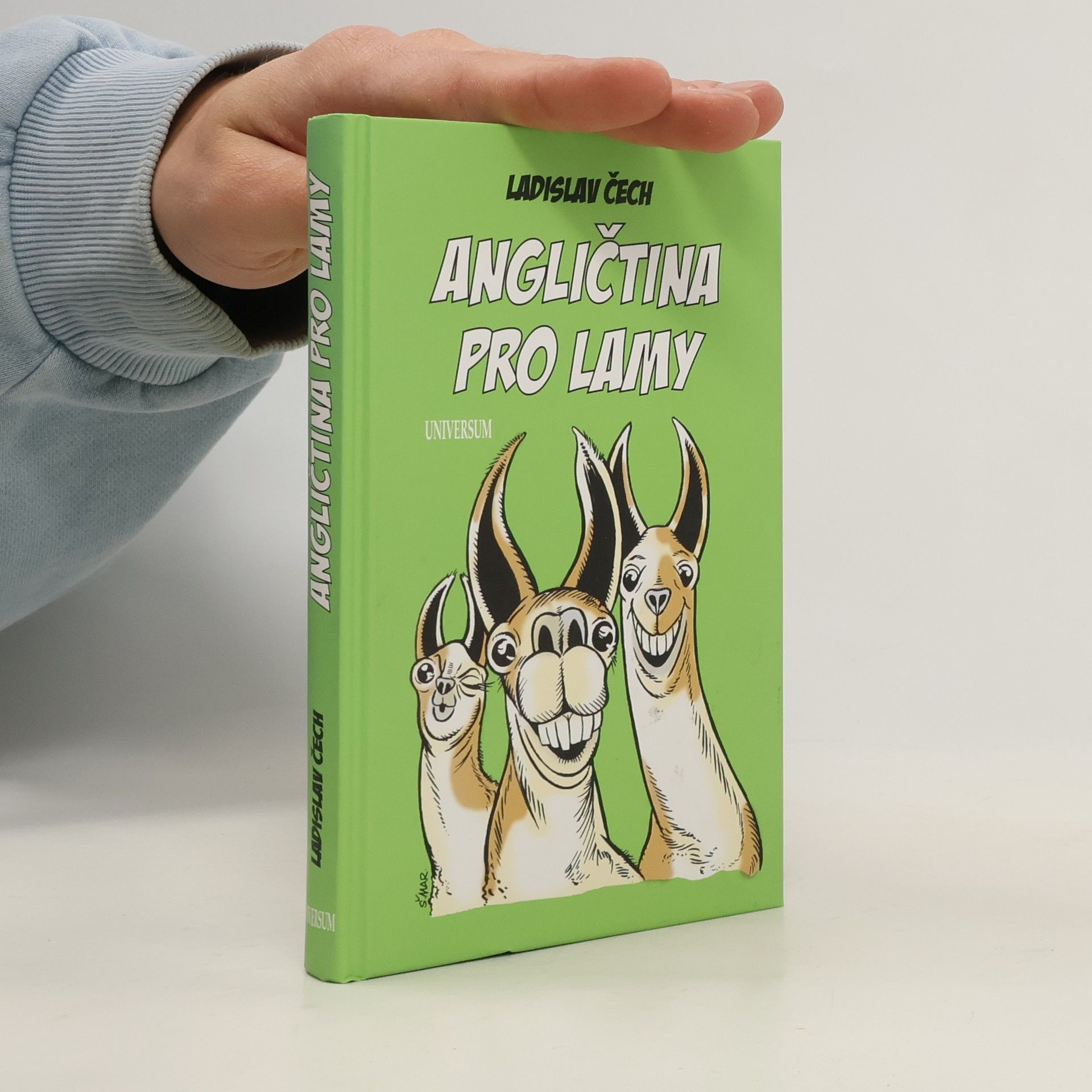 Ladislav Čech Angličtina pro lamy