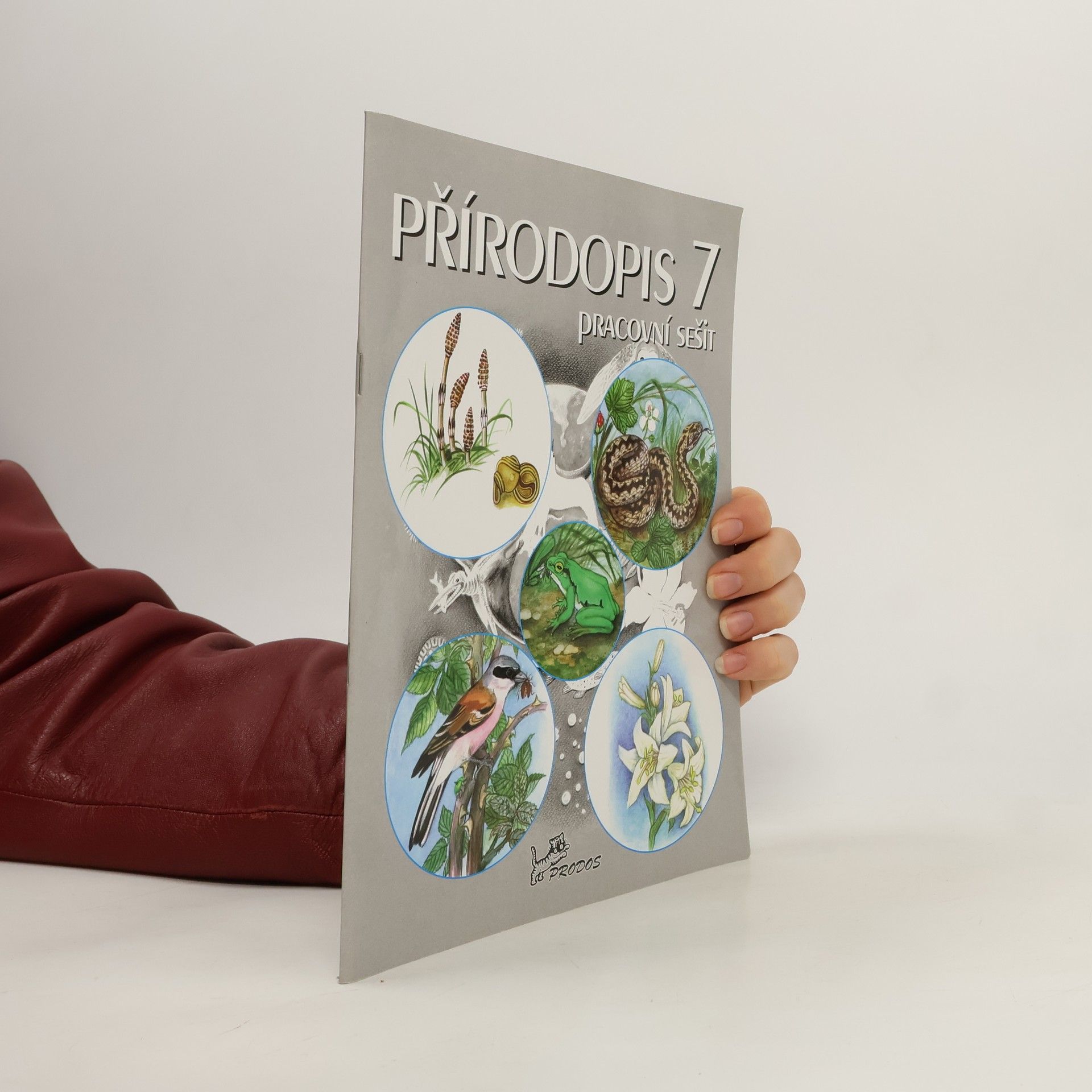 Autorenkollektiv Přírodopis 7 : pracovní sešit