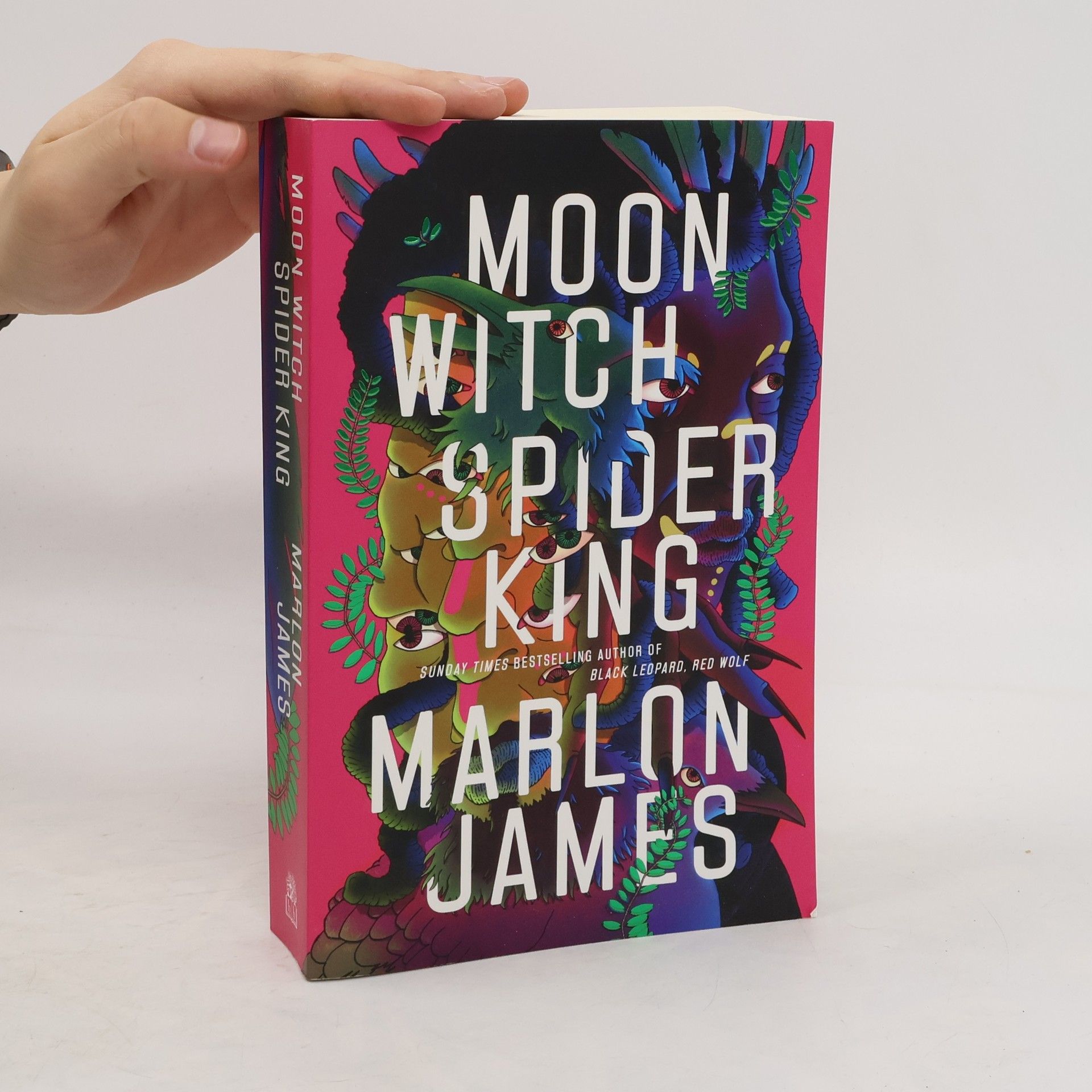 Marlon James Moon Witch, Spider King