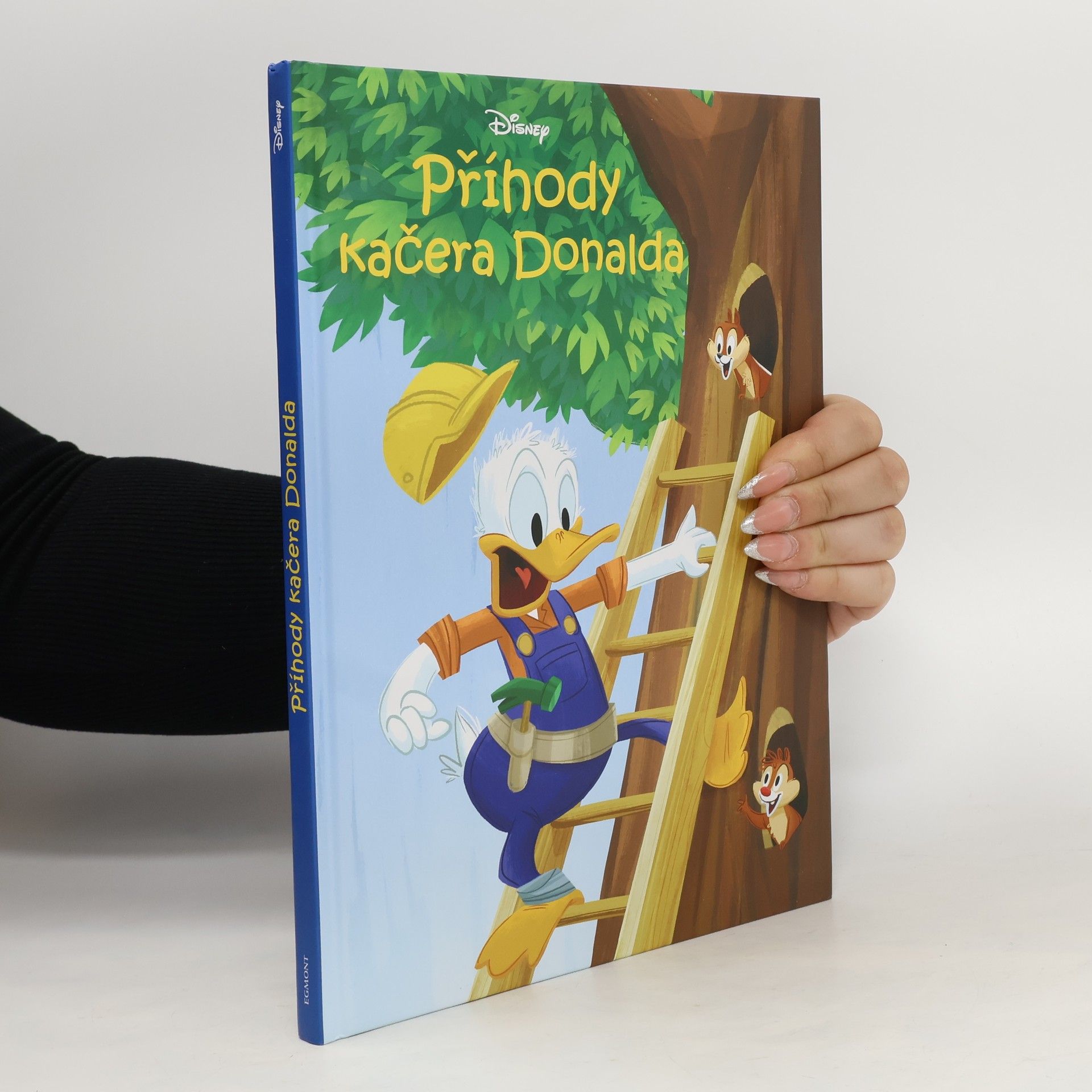 Steve Behling Příhody kačera Donalda