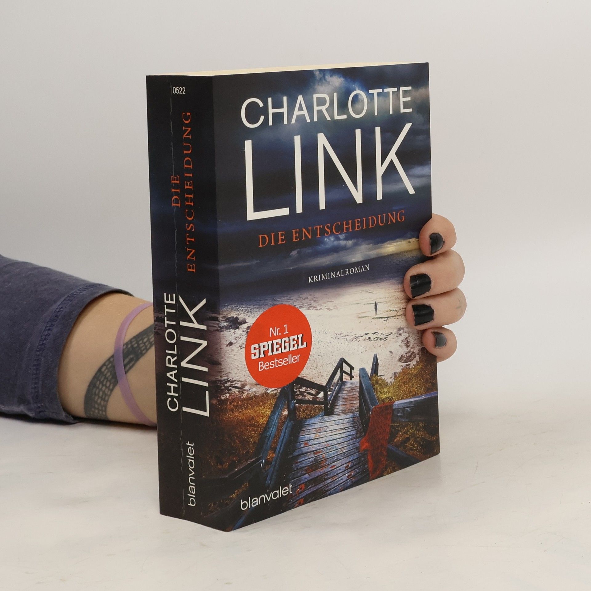 Charlotte Link Die Entscheidung