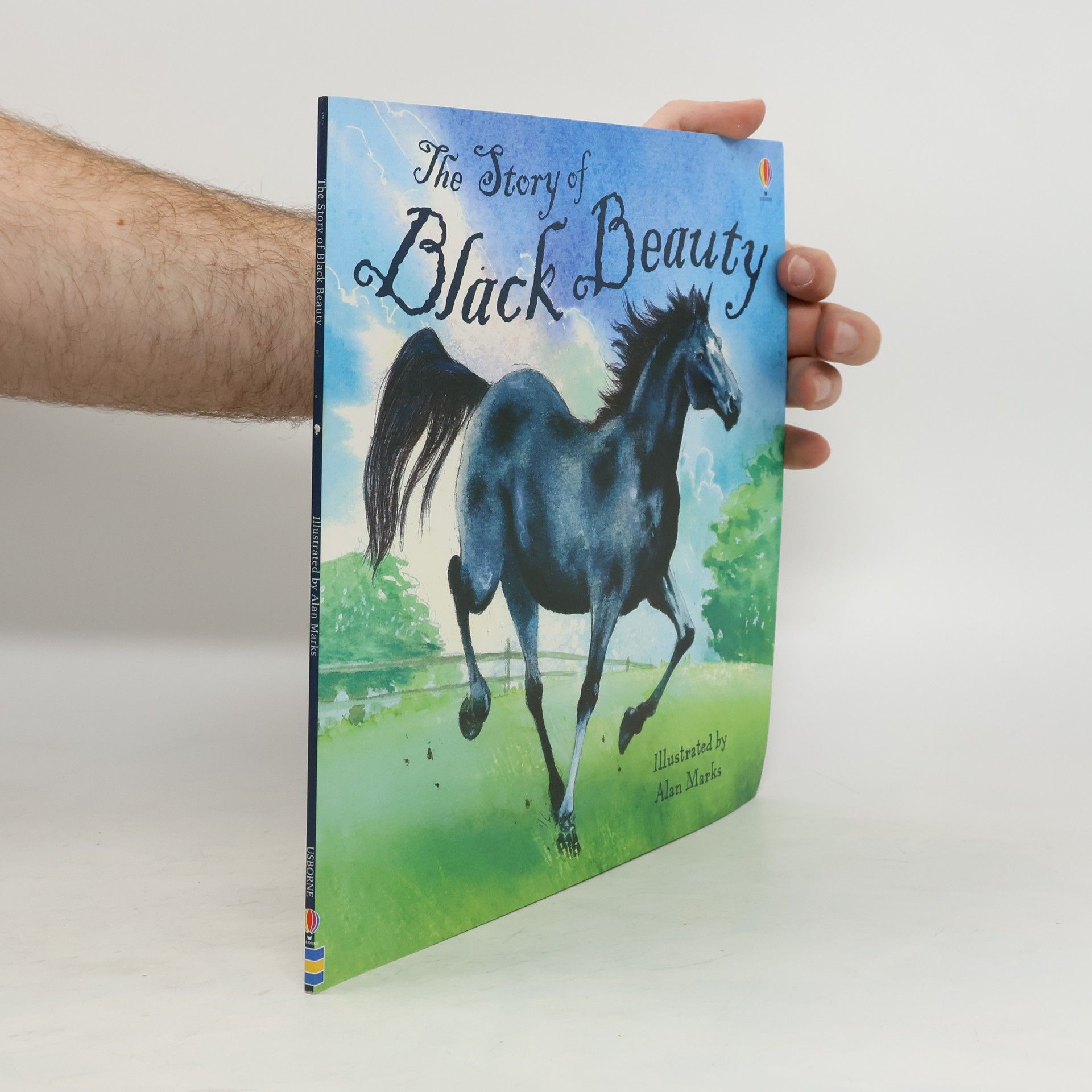Zanna Davidson The Story of Black Beauty